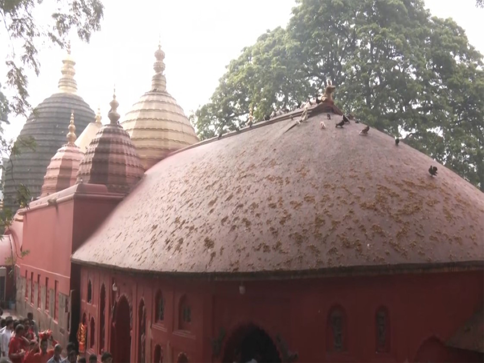 Devotees throng Kamakhya Temple ahead of Ambubachi Mela (Photo/ANI) 