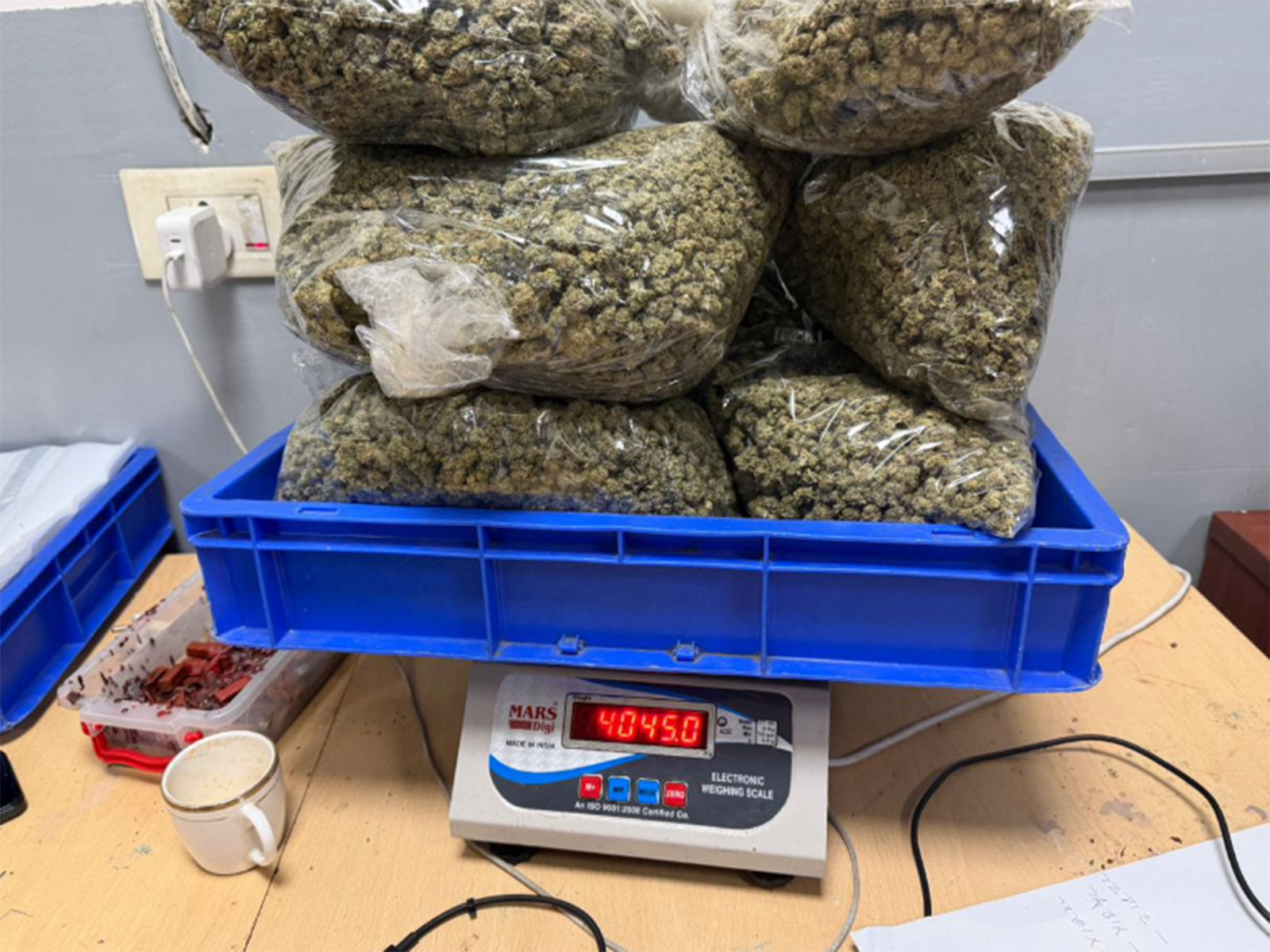 Vacuum-sealed packets suspected to contain Hydroponic Weed (Photo/Delhi Customs X handle)