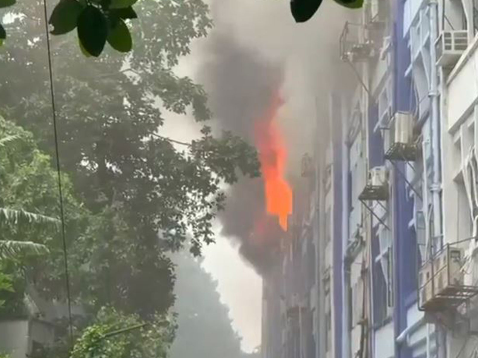  A fire broke out at the South 24 Parganas Zilla Parishad office near Alipore Court (Photo/ANI)