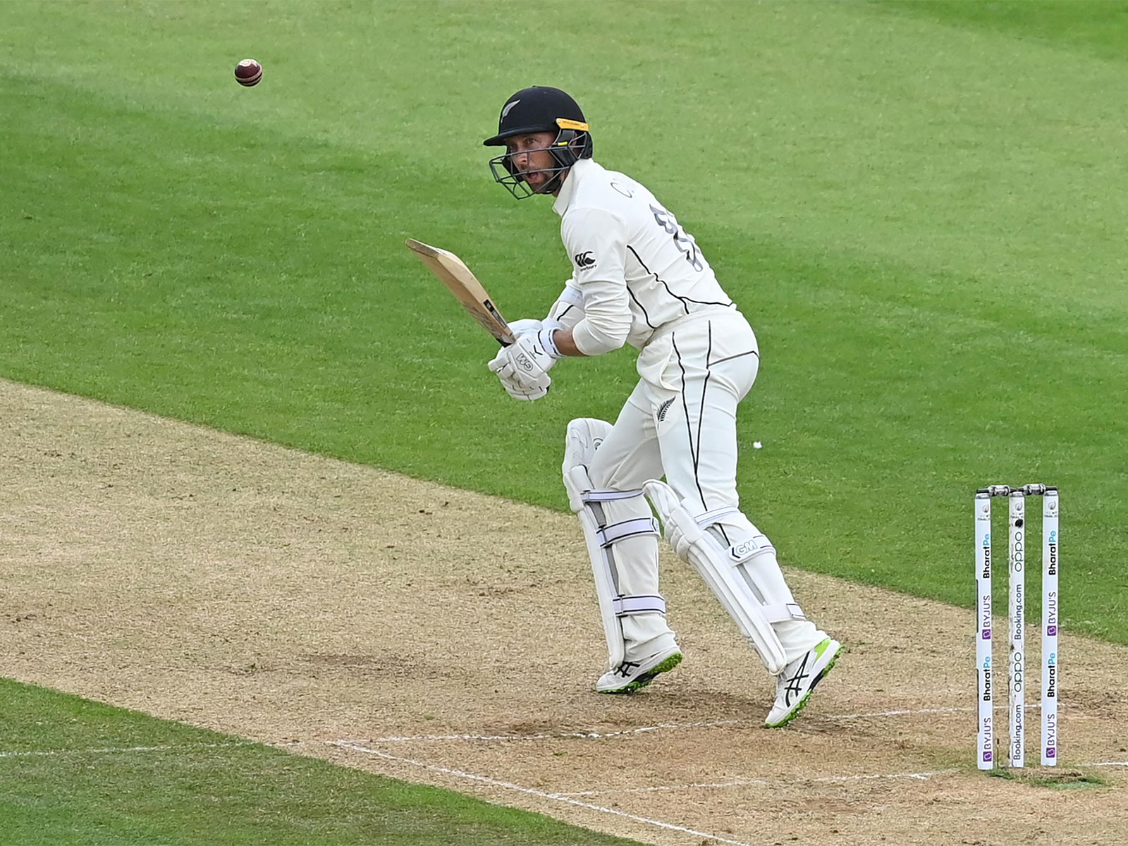 New Zealand's Devon Conway. (Photo/ANI)  