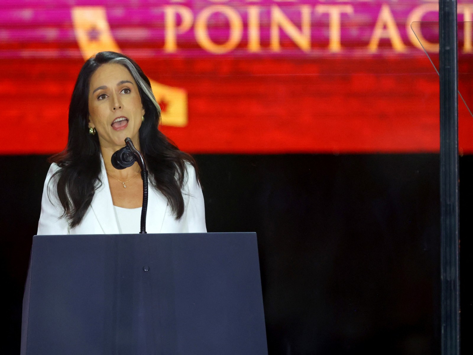  Director of National Intelligence (DNI) Tulsi Gabbard (Photo/Reuters)