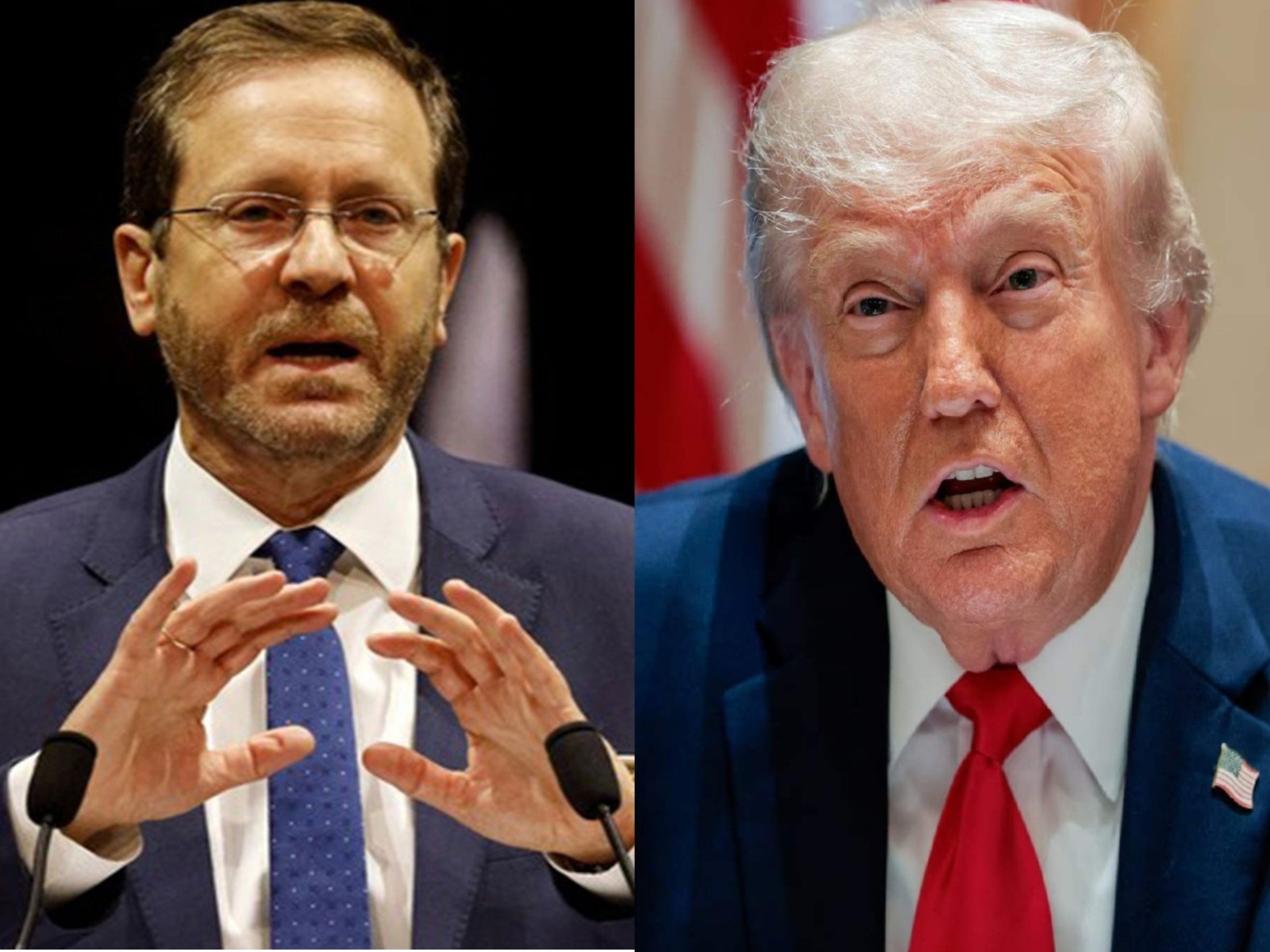  Israeli President Isaac Herzog and US President Donald Trump (File Photo/Reuters)