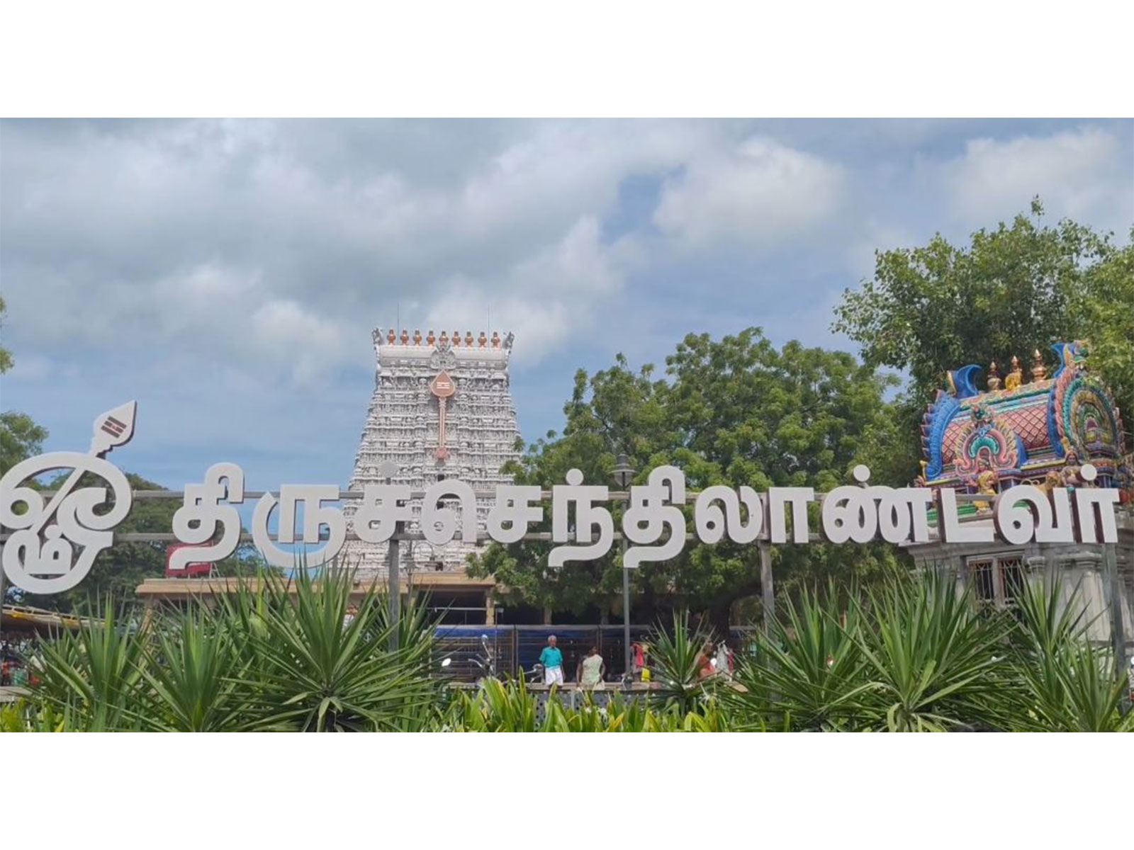 Tiruchendur Subramania Swamy Temple (Photo/ANI)