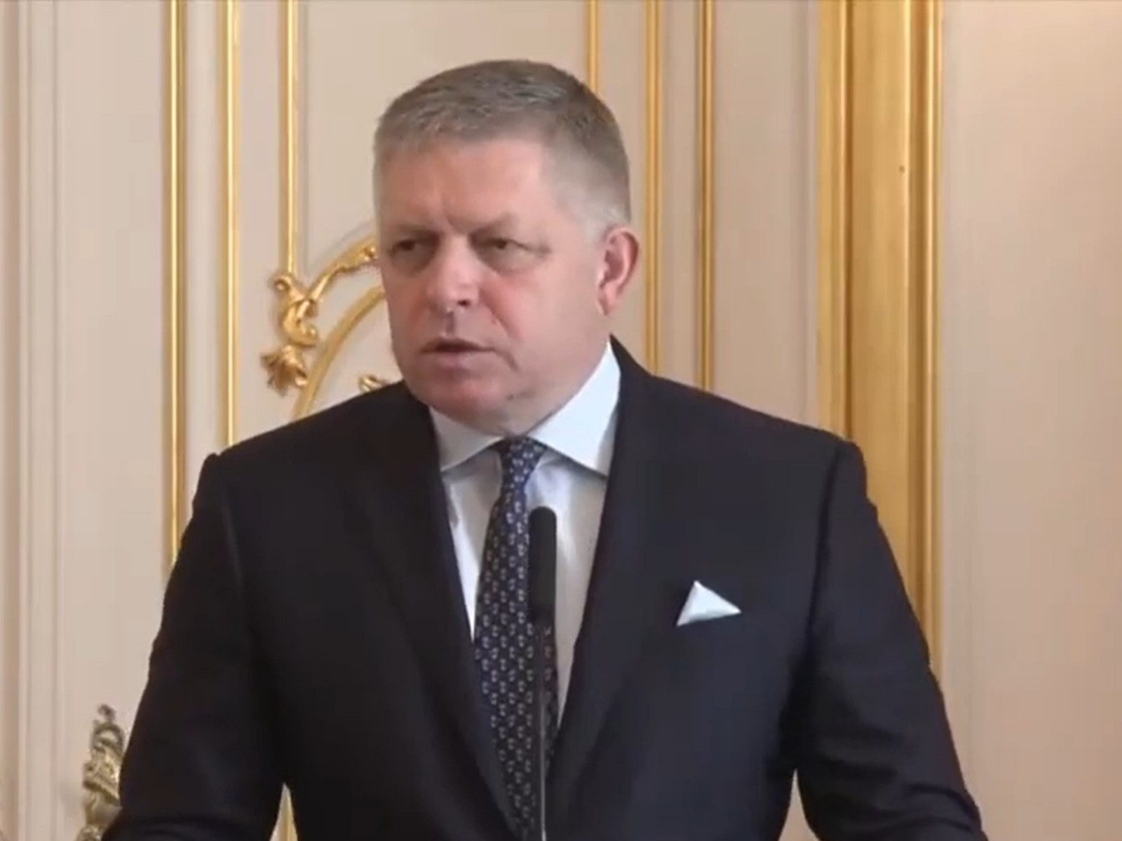Slovak Prime Minister Robert Fico (Photo/YouTube/MEA)