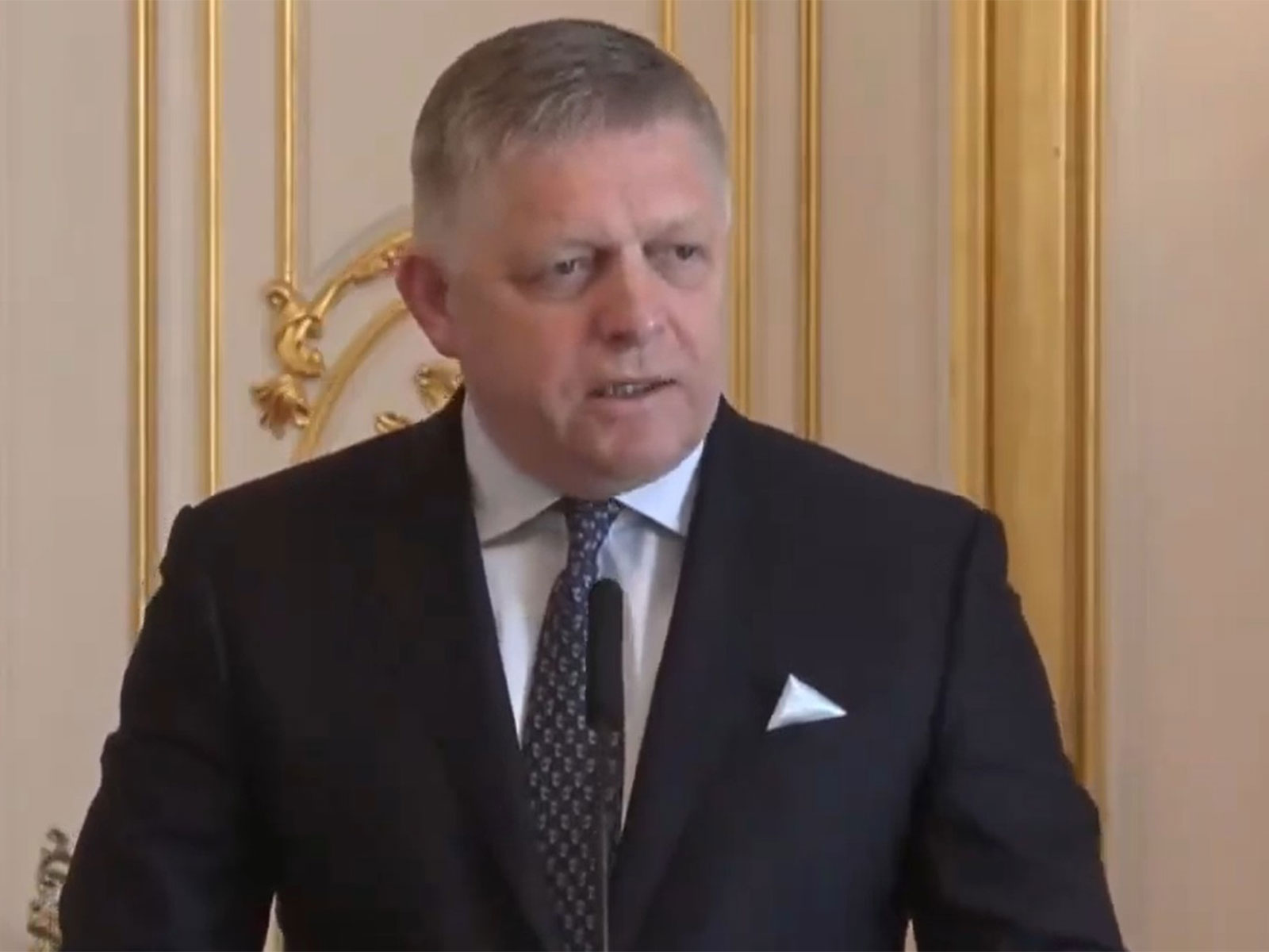 Slovak Prime Minister Robert Fico (Photo/YouTube/MEA)