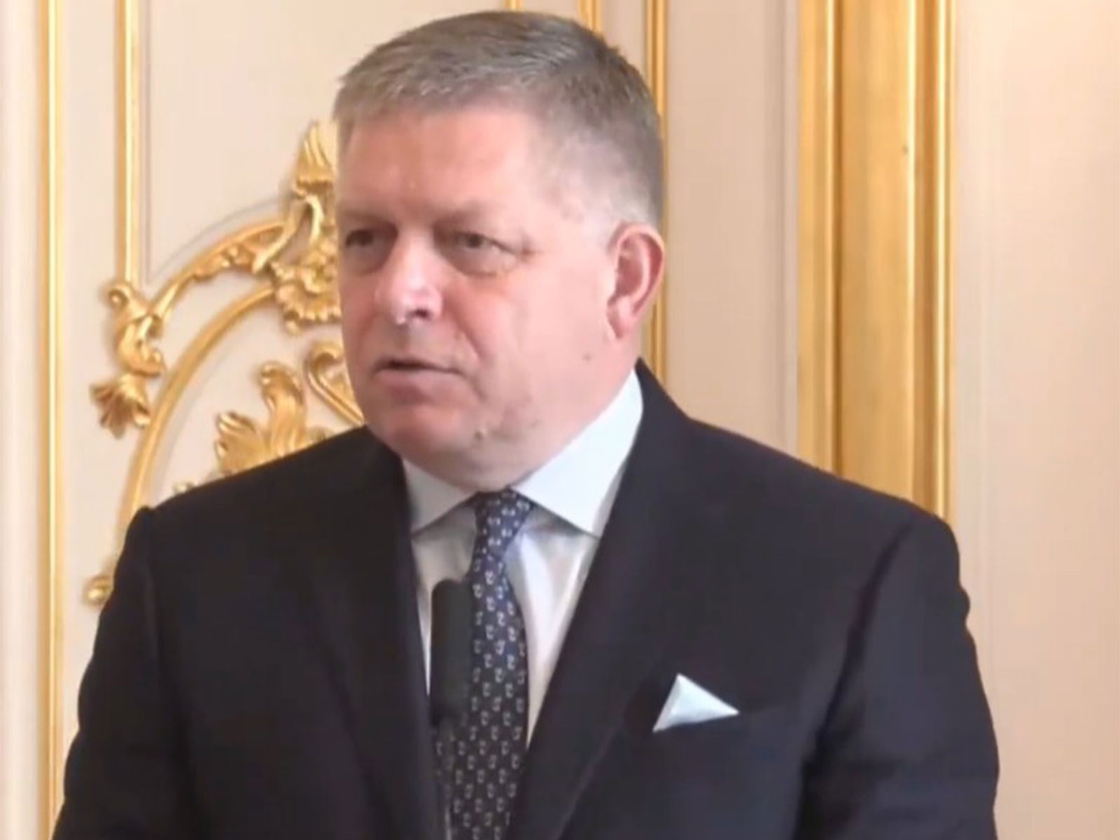 Slovak Prime Minister Robert Fico (Photo/YouTube/MEA)