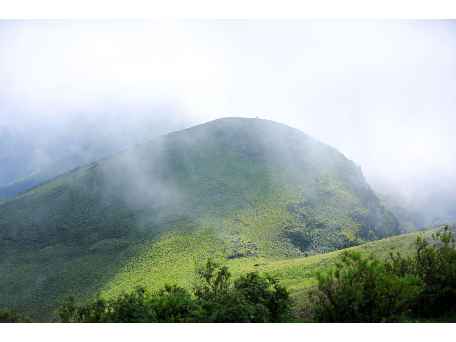 How Chikkamagaluru Became India's Next Luxury Tourism Frontier -- and The Silver Sky Is Leading the Charge