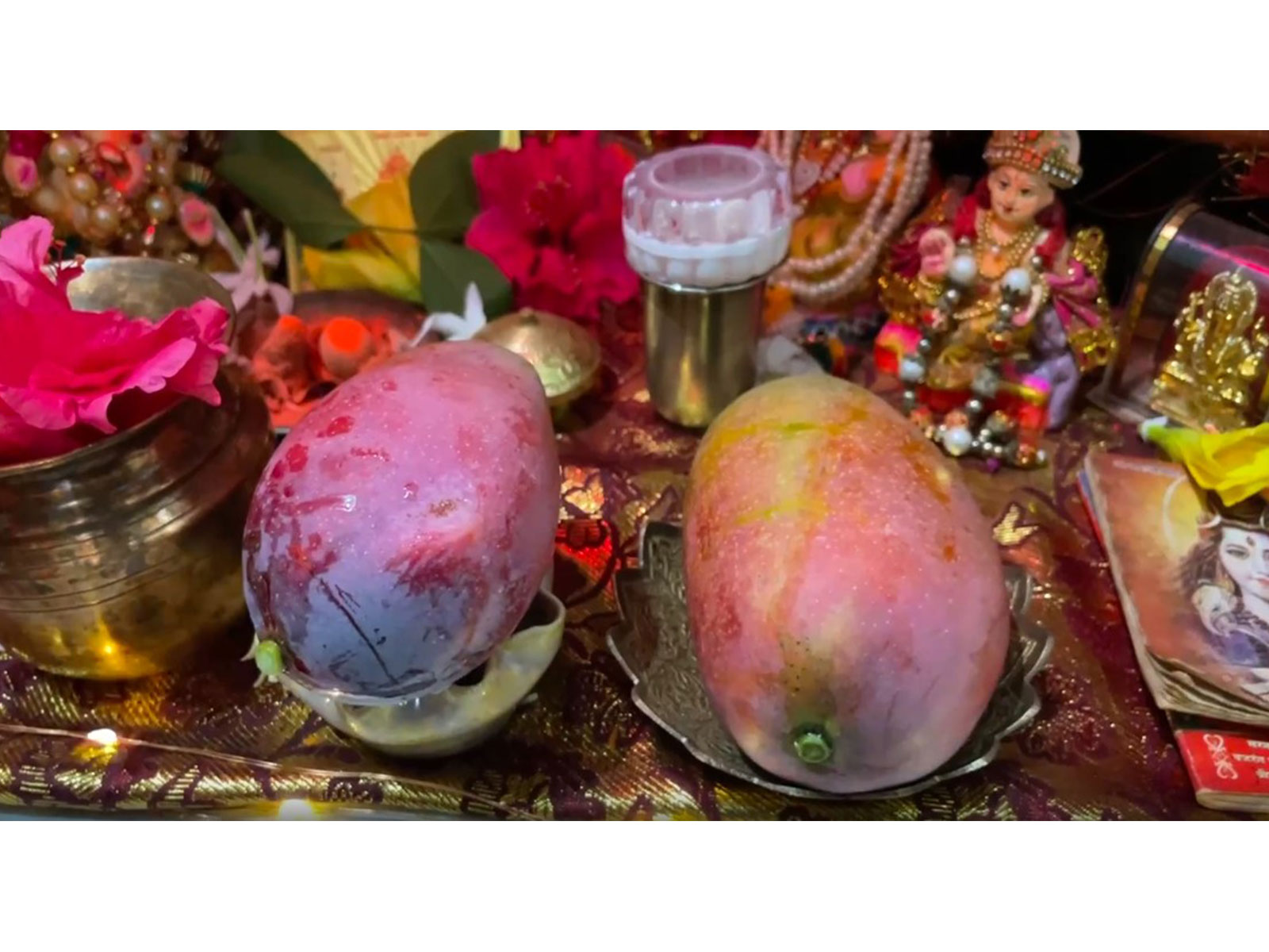 Japan's rare 'Miyazaki' mango offered to Lord Ram for the first time (Photo/ANI)