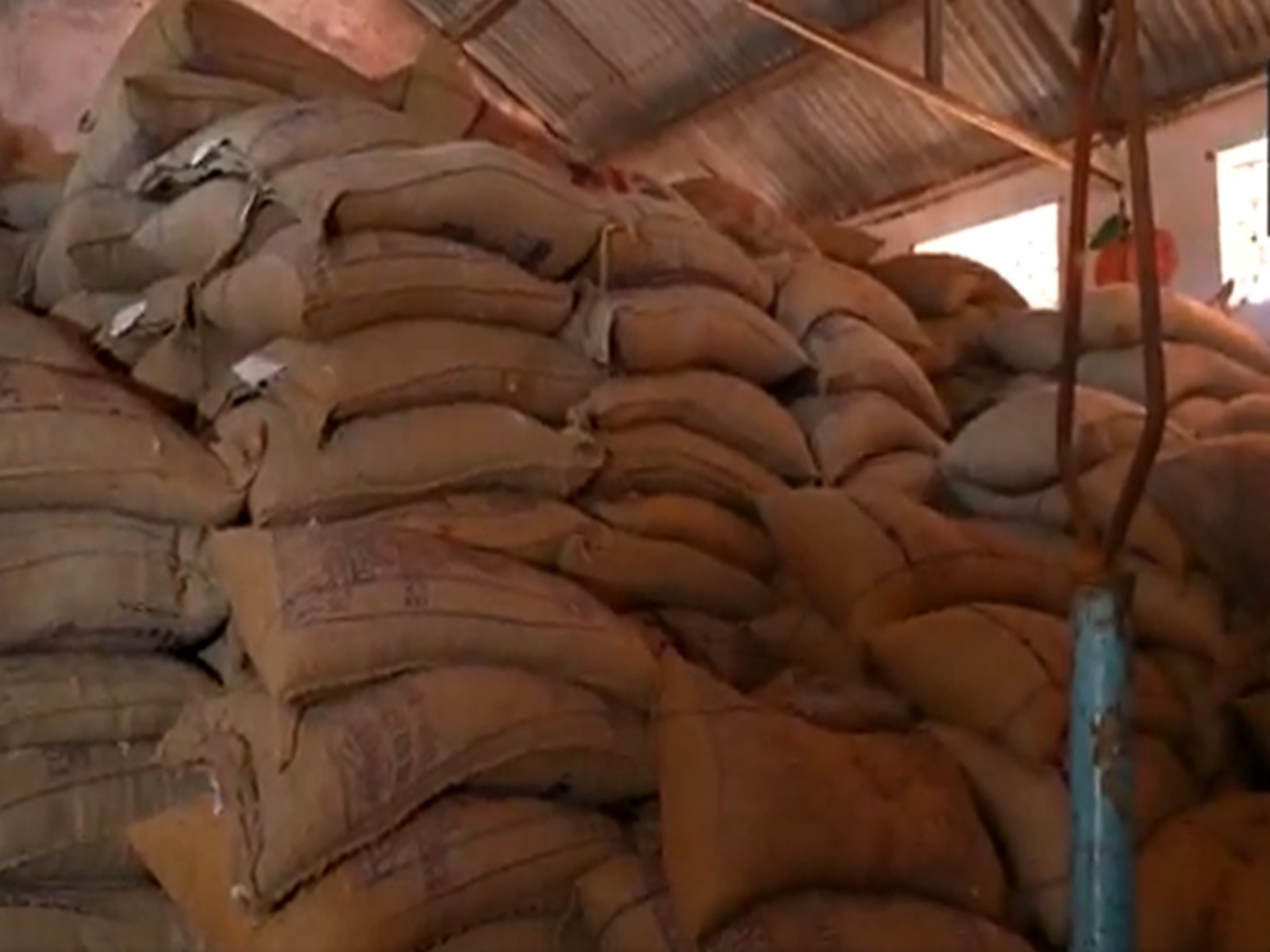 Stockpiles of food grains stored in advance (Photo/ANI)