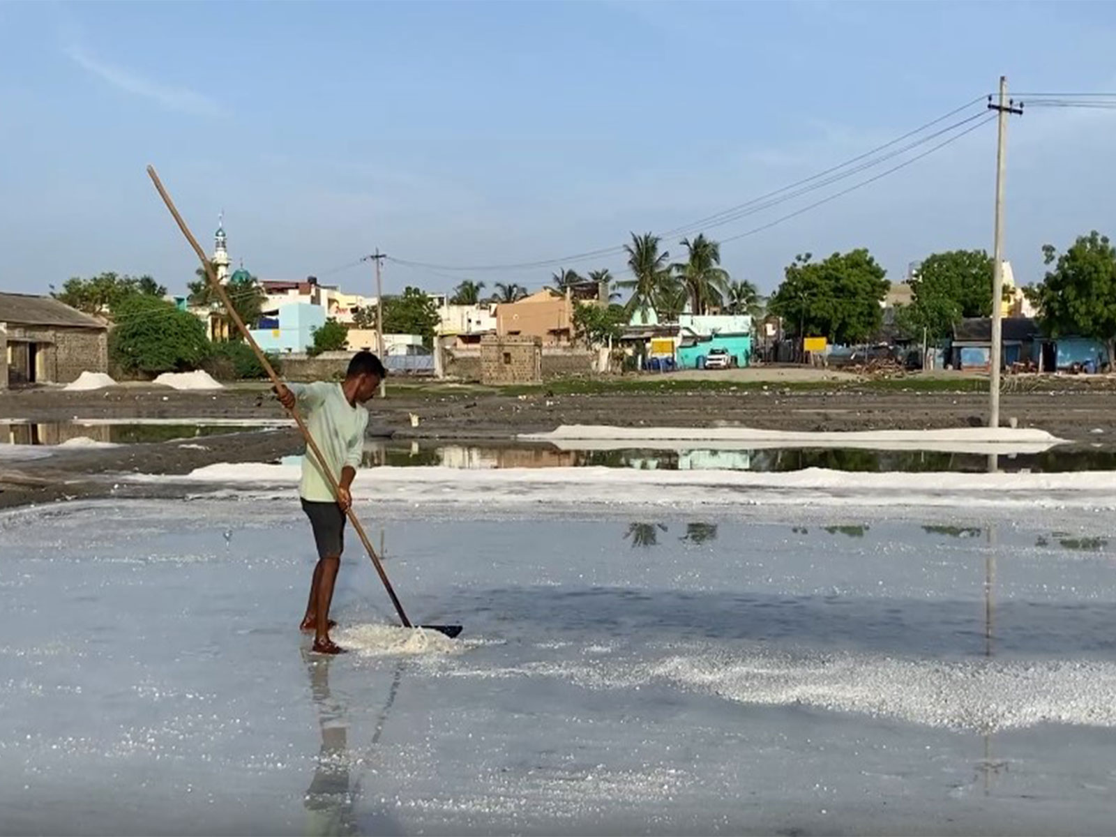 Visuals of salt pans in Thoothukudi (Photo/ANI)