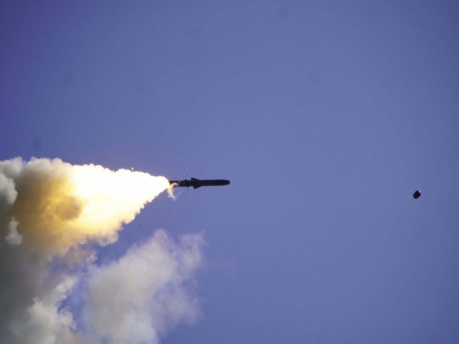 BrahMos missile during a firing trial (File photo: Indian Army Southern Command)