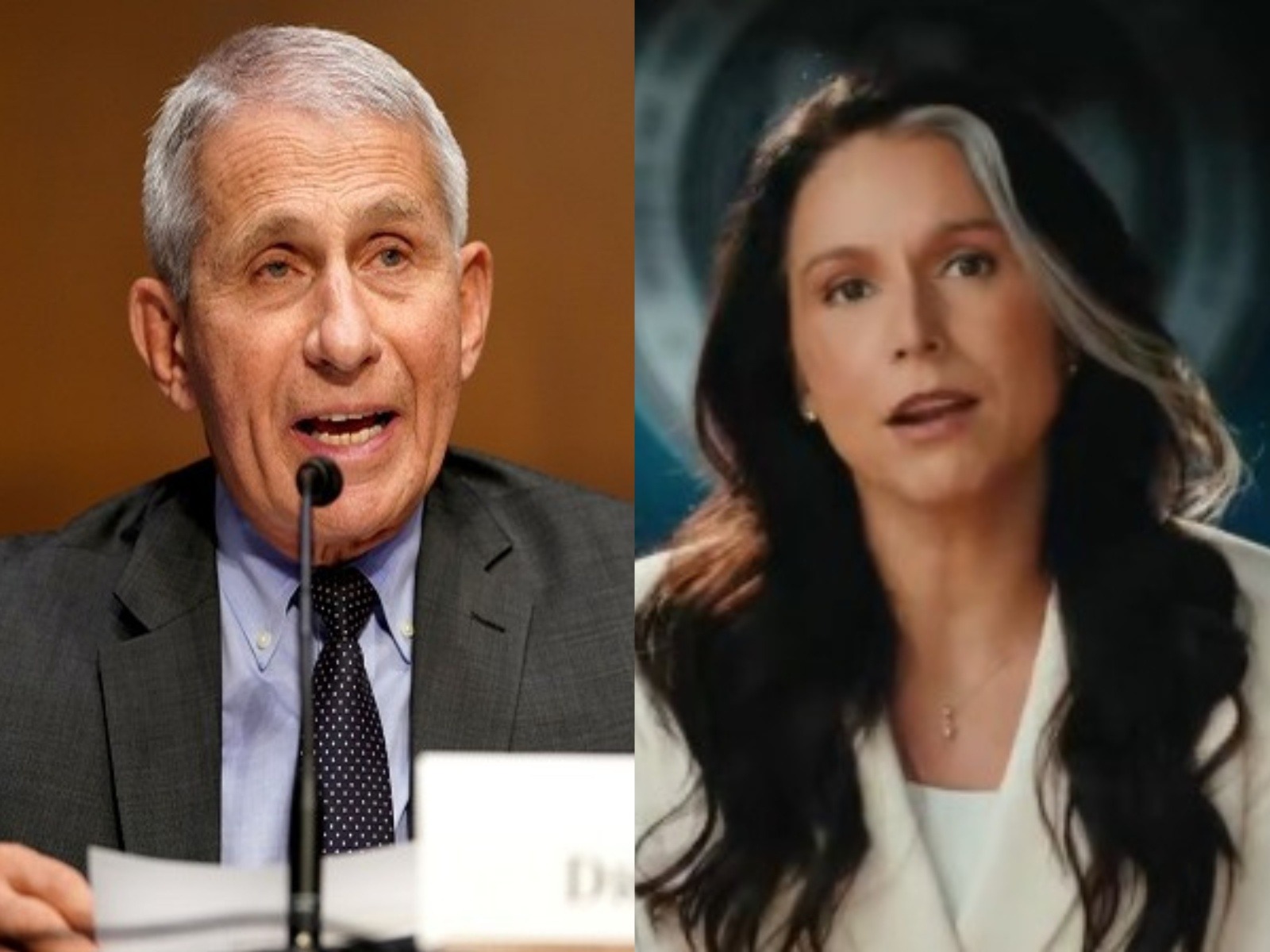 Former top US infectious disease expert Dr Anthony Fauci, Outgoing US Director of National Intelligence Tulsi Gabbard (Photo: Reuters/ US ODNI)