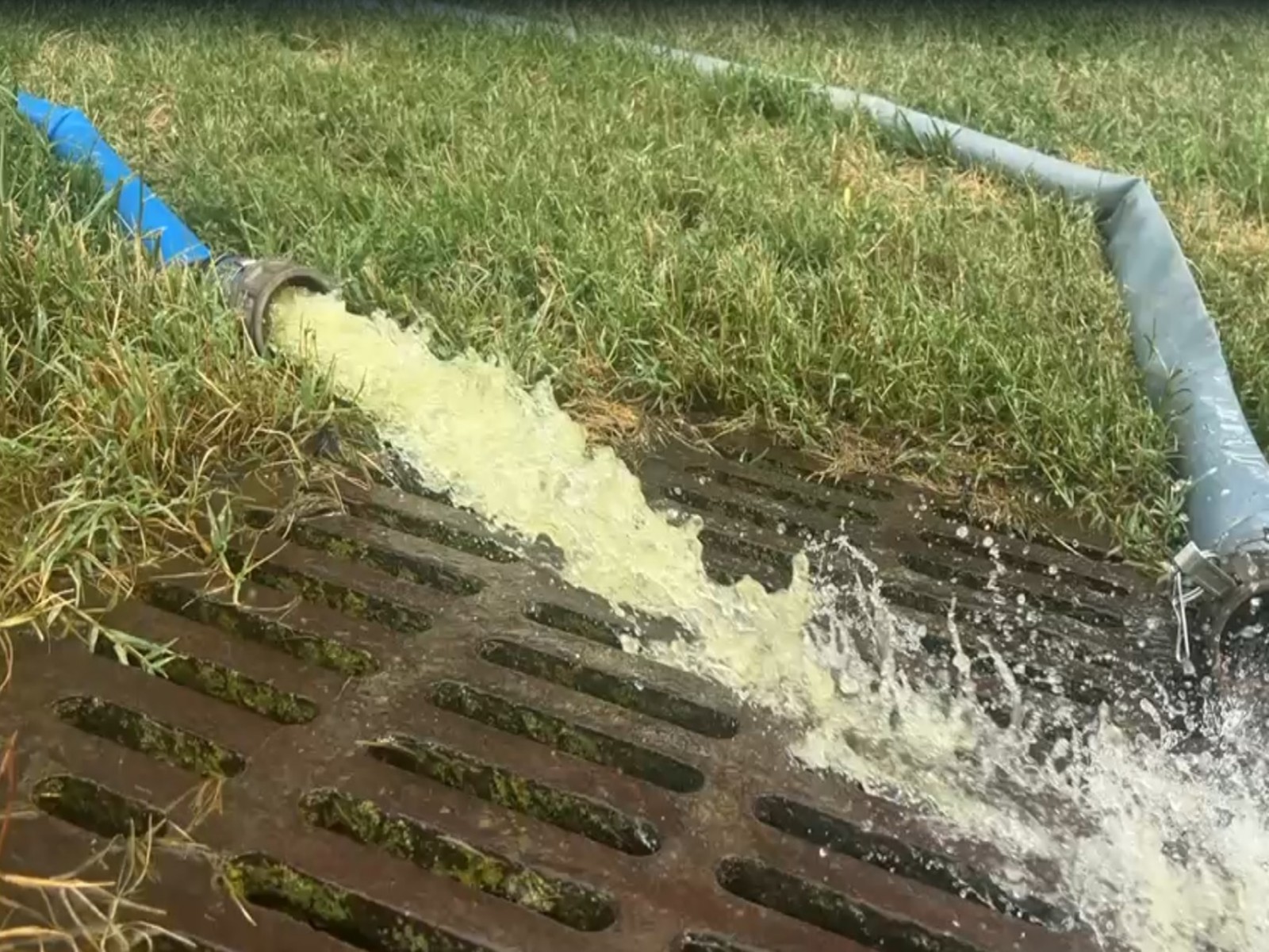 Green algea being pumped out of Lincoln Memorial Reflecting Pool (Photo/ANI)