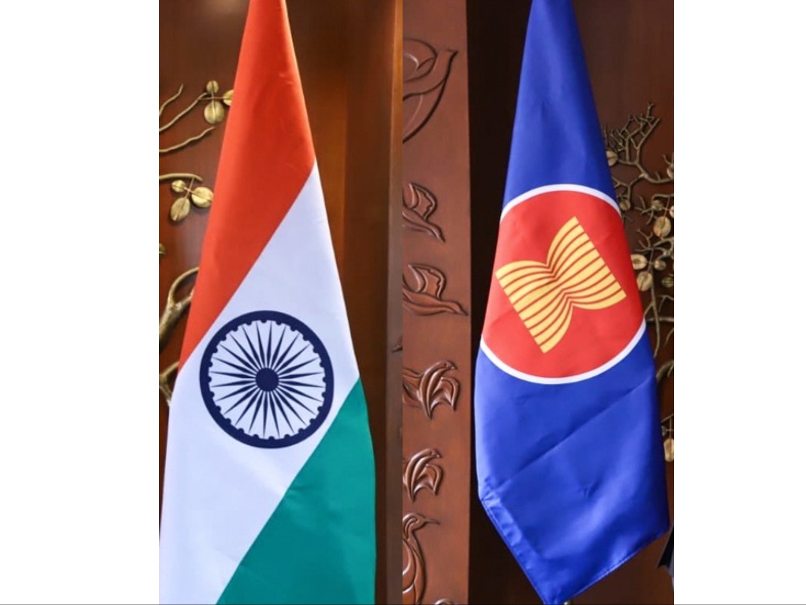 Representative Image (Photo/ANI)