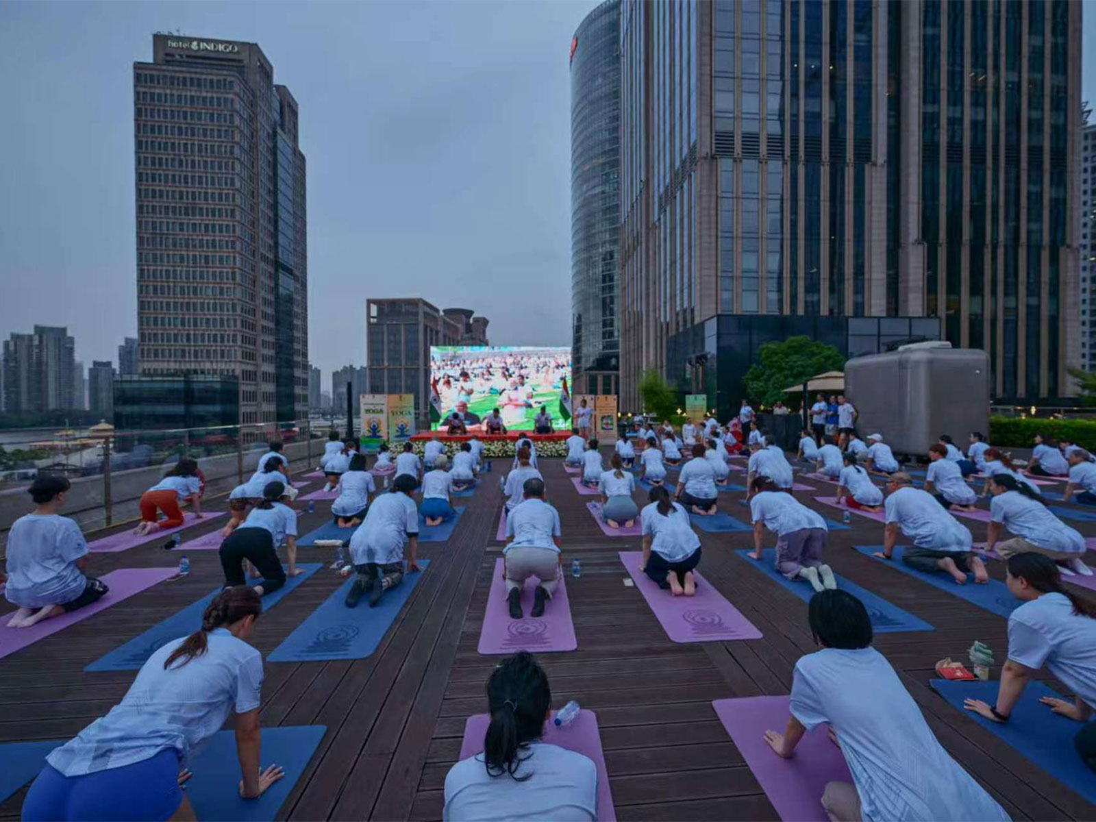 12th edition of the International Day of Yoga in Shanghai (Photo: X@IndiaInShanghai)