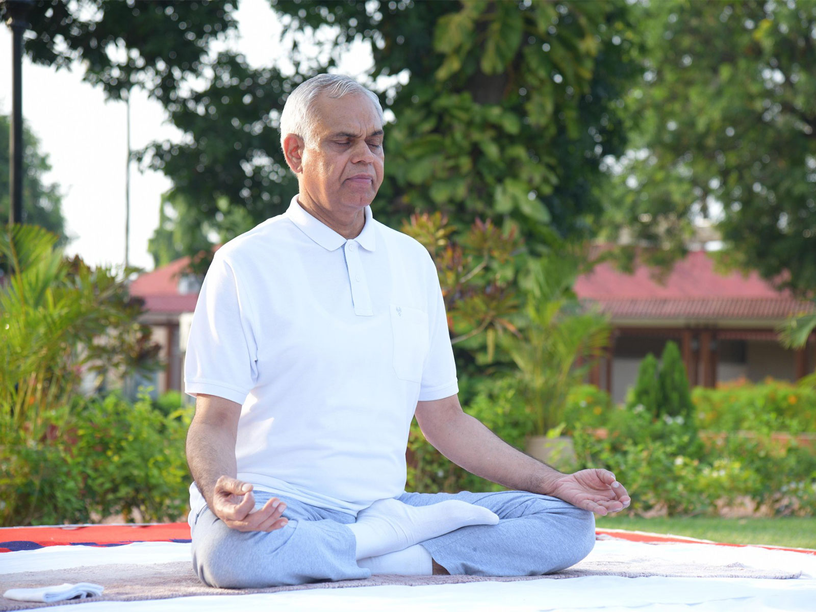 Gujarat governor Acharya Devvrat performs Yoga (Photo/@ADevvrat/X)