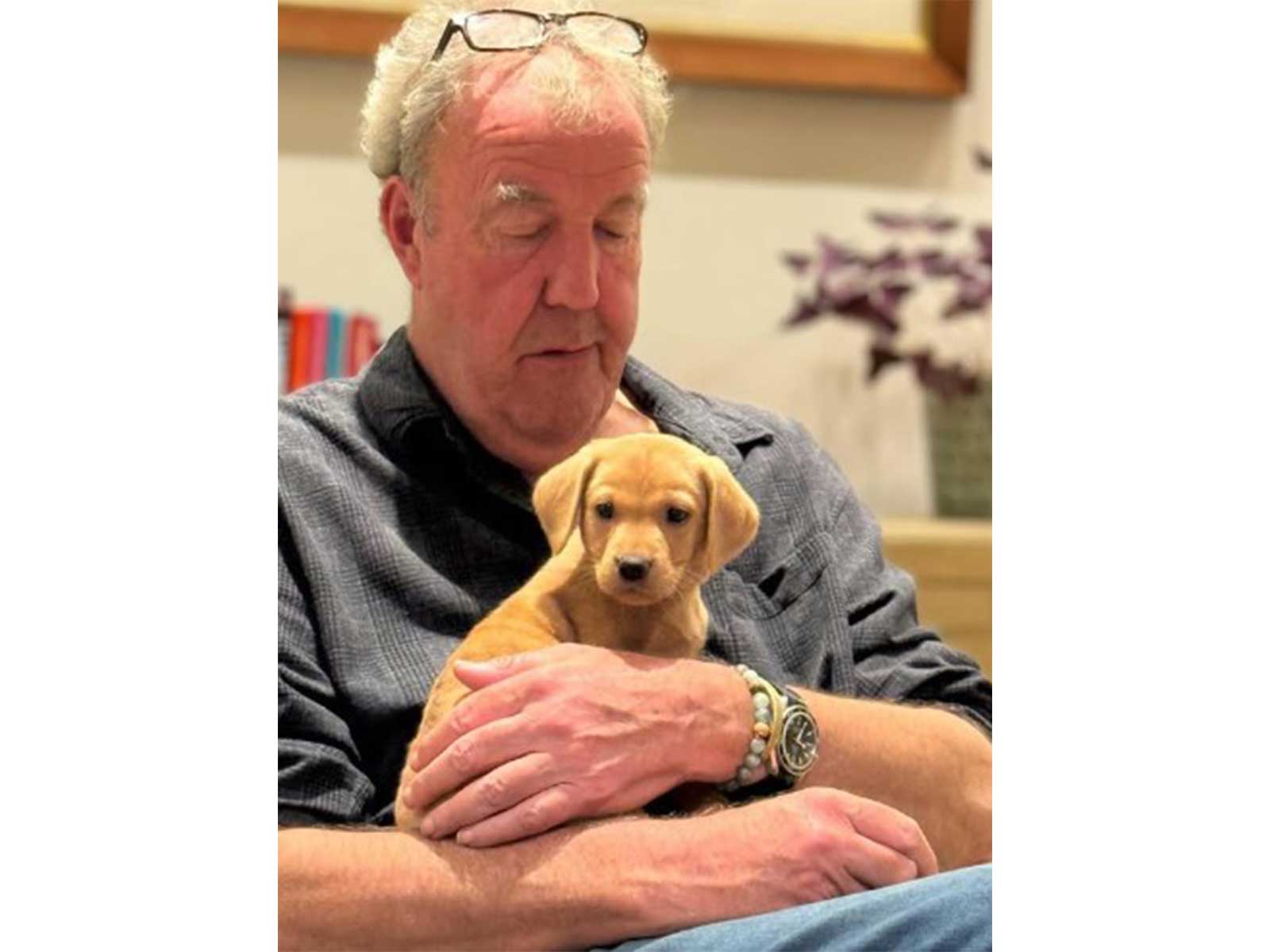 Jeremy Clarkson (Image/Instagram@jeremyclarkson1)