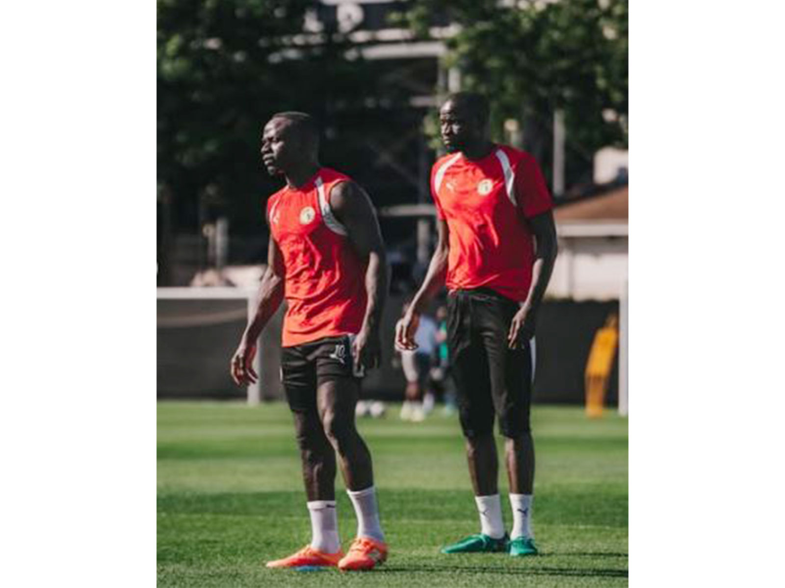 Senegal football team. (Photo: @footballsenegal Instagram)