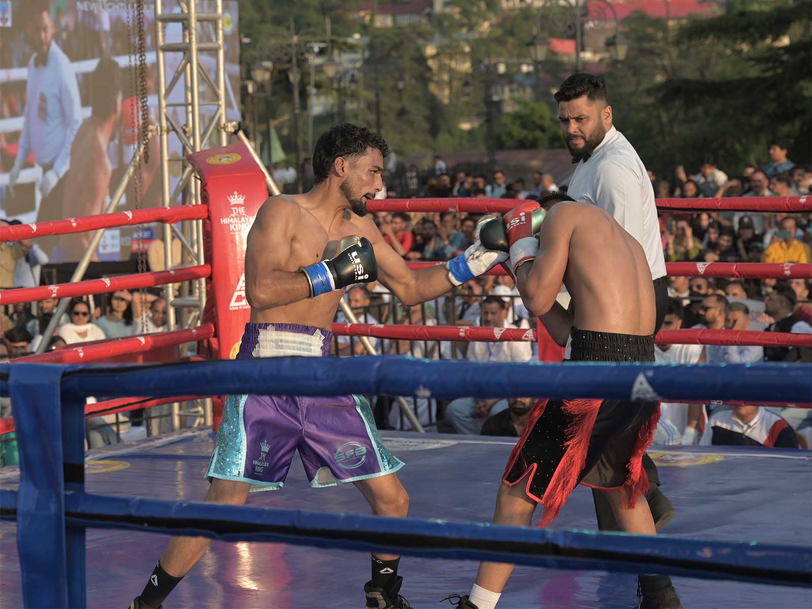 Boxers in action at the International Professional Boxing C'ship (Photo: ANI)
