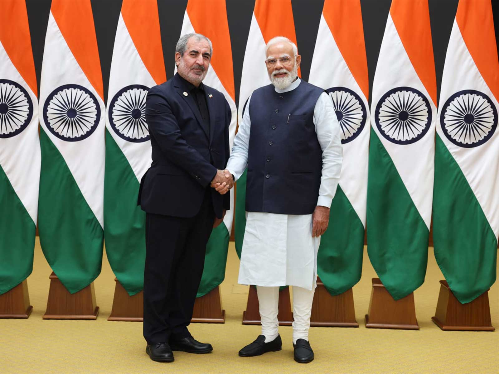 Deputy Secretary of Iran's Supreme National Security Council, Ghadir Nezamipour meets Prime Minister Narendra Modi (Photo/X/@Iran_in_India)