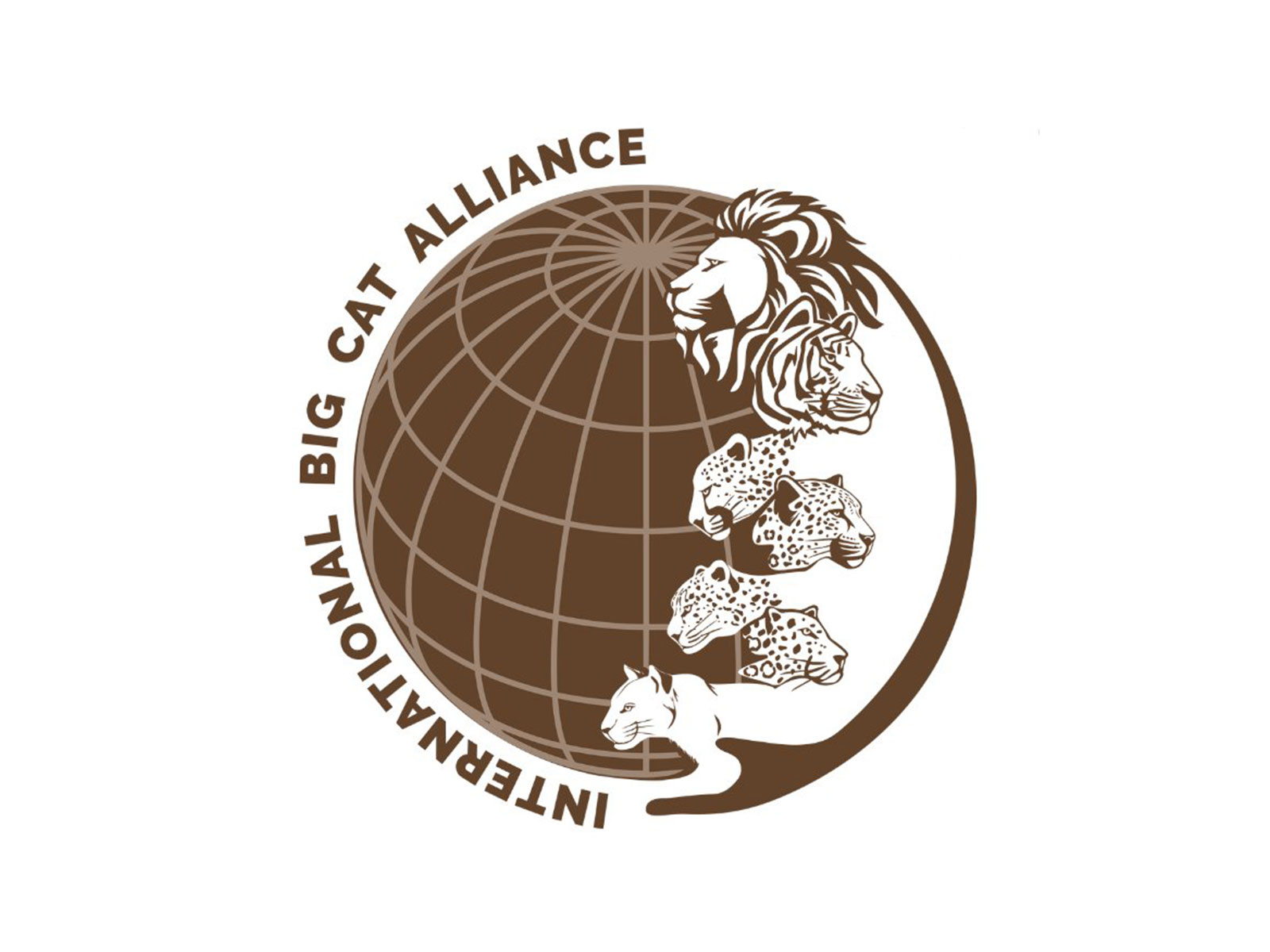 Logo of International Big Cat Alliance (Photo/X@IBCA_official)