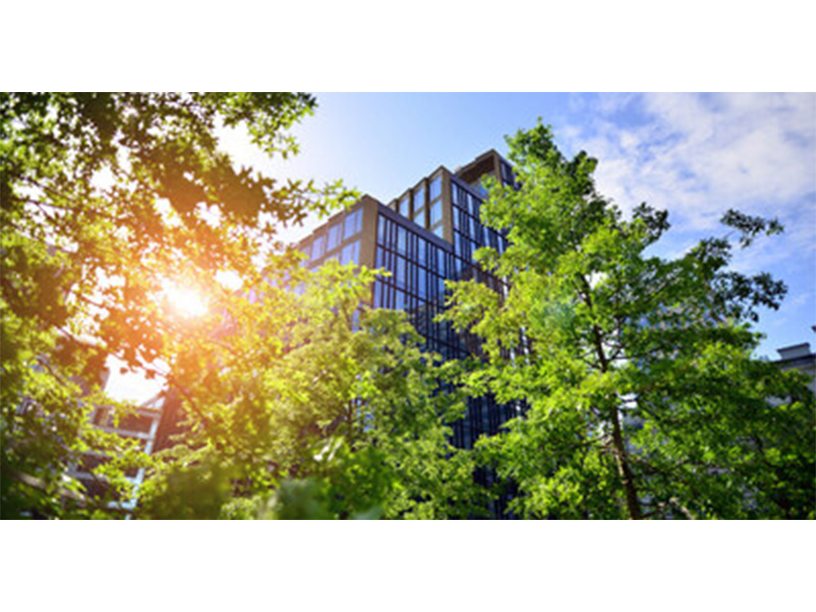 Colt DCS Reports 27% Reduction in Greenhouse Gas Emissions