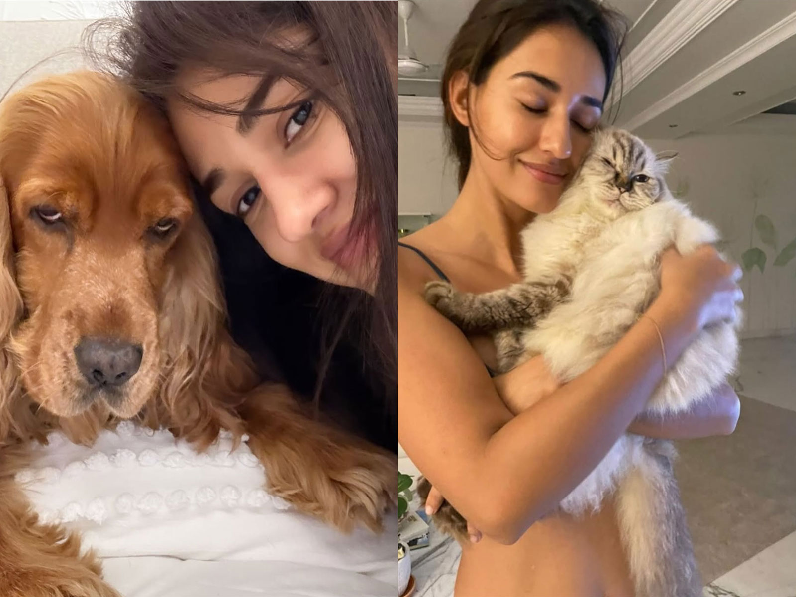 Disha Patani mourns passing of her pet friends (Photo/Instagram@dishapatani)