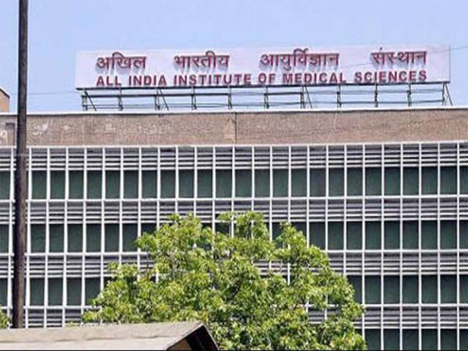 AIIMS Delhi (File photo/ANI)