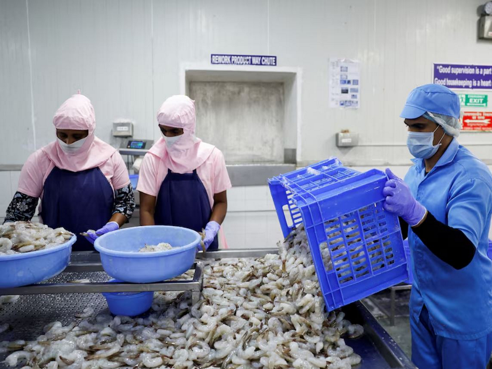 Workers sort shrimps inside a processing unit at a shrimp factory situated on the outskirts of Vishakhapatnam (File Photo/Reuters)
