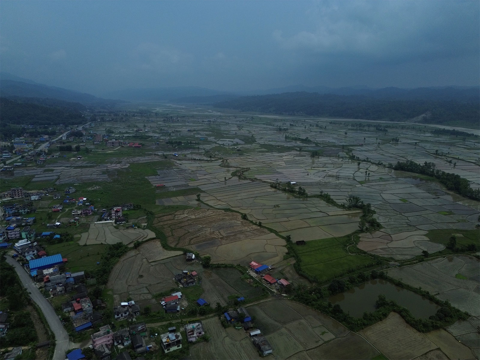 Paddy fields stretch across the landscape during Nepal's cultivation season, where meteorologists have warned of a drier monsoon ahead due to the El Nino phenomenon. (Photo/ANI)