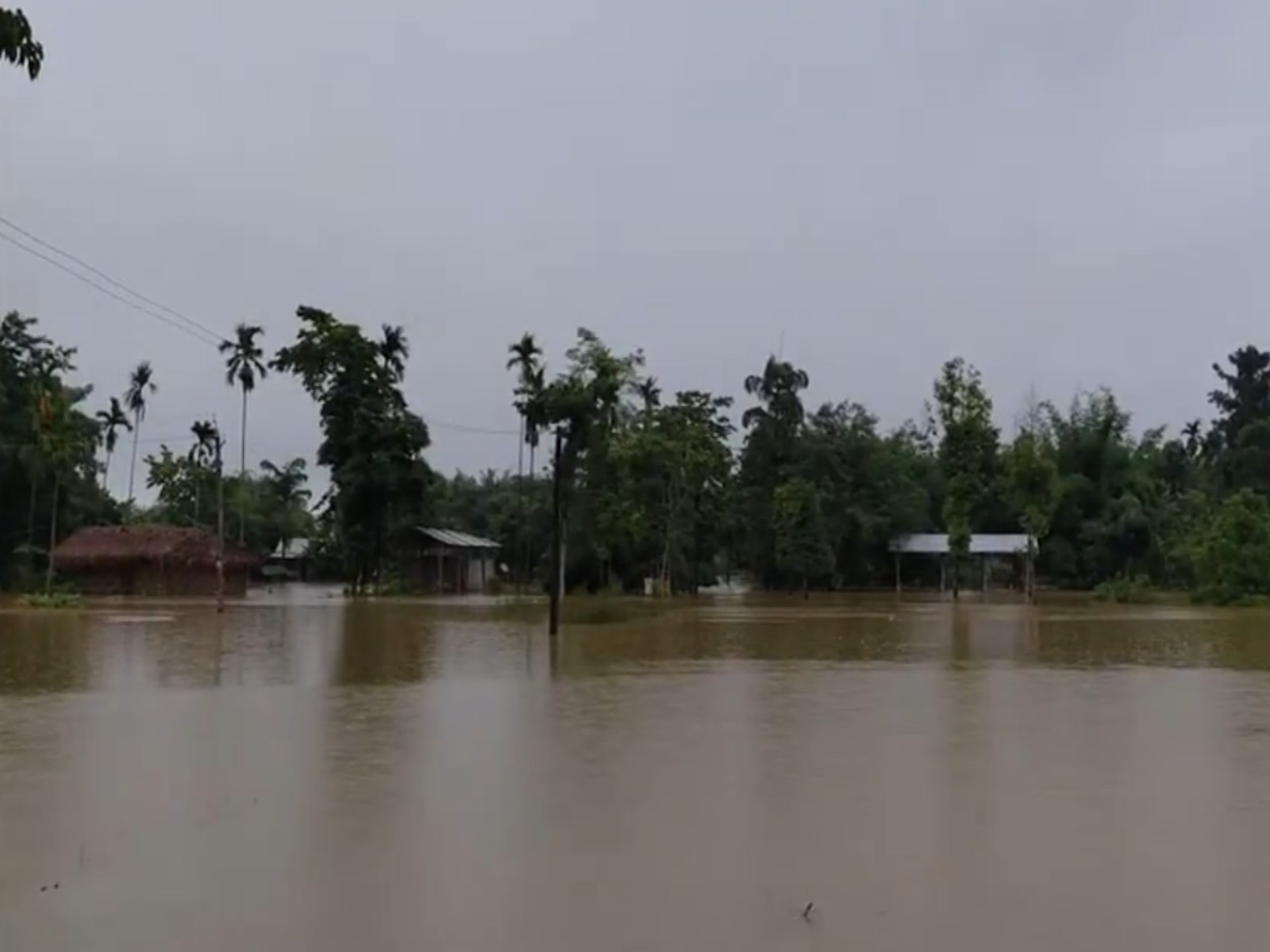 Flooding in Assam (Photo/ANI)