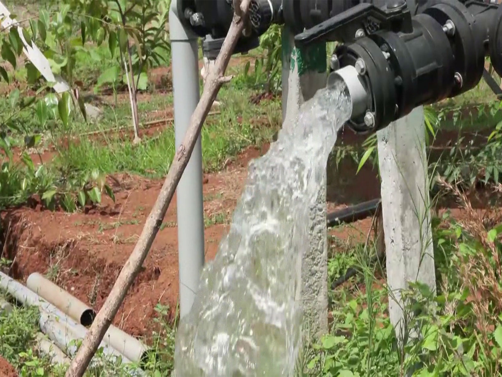 water conservation (Photo/ANI)