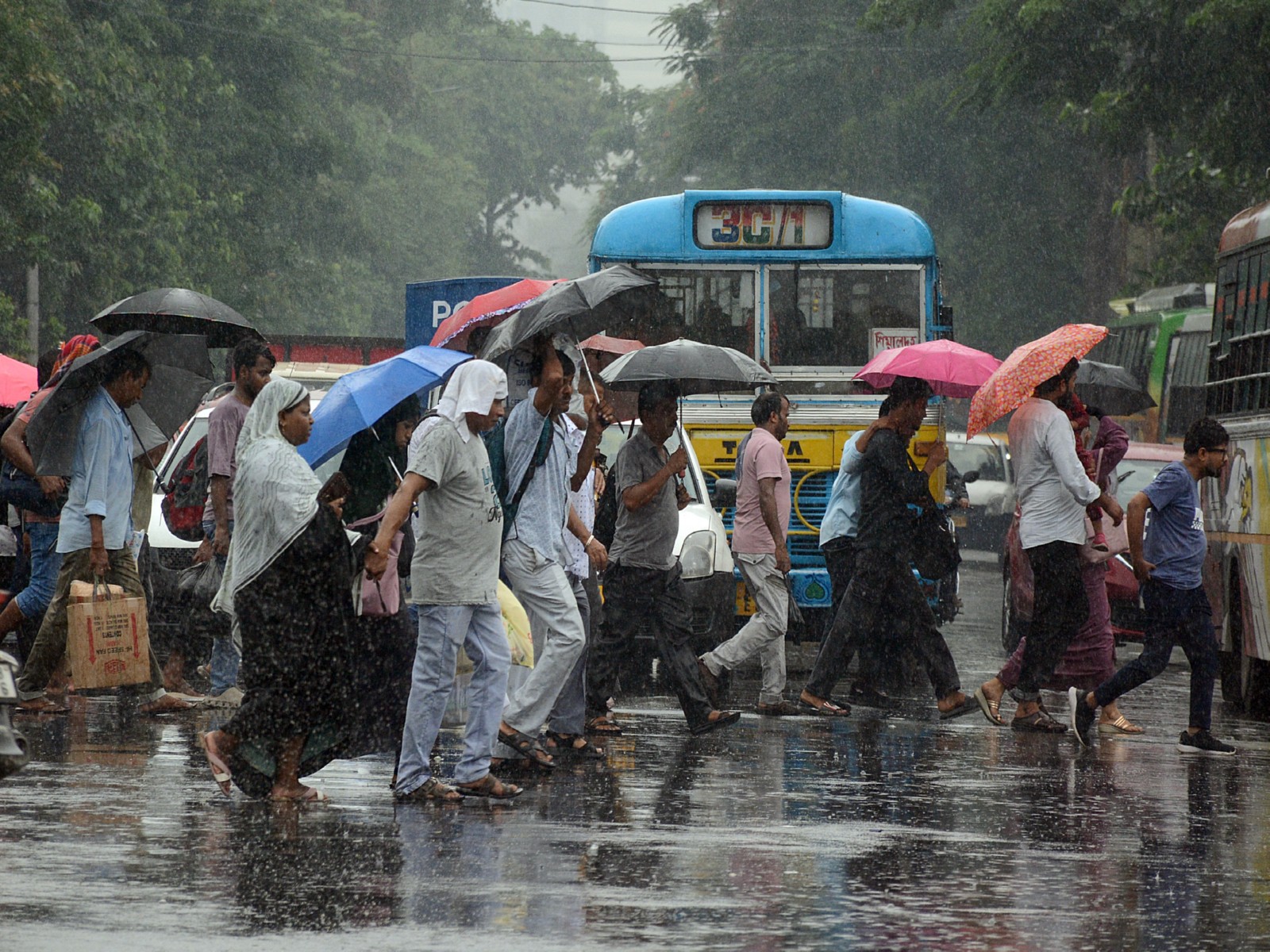 Rainfall in Kolkata (Photo/ANI)