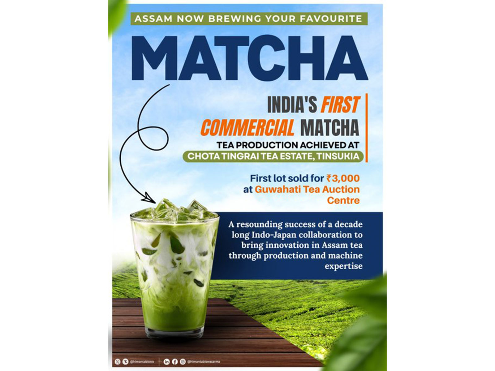 Assam tea estate launches India's first Matcha tea  (Photo/@himantabiswa)