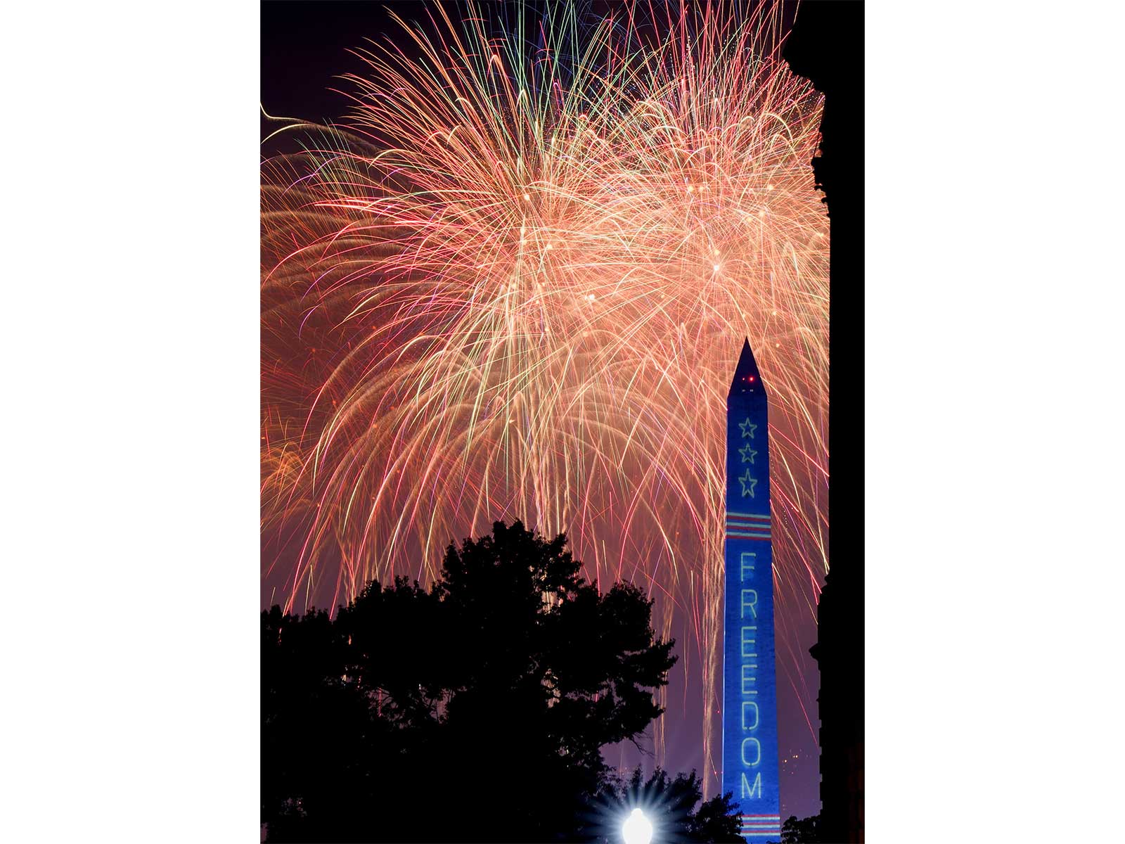 Fireworks on display at Washington DC (Photo/Reuters)