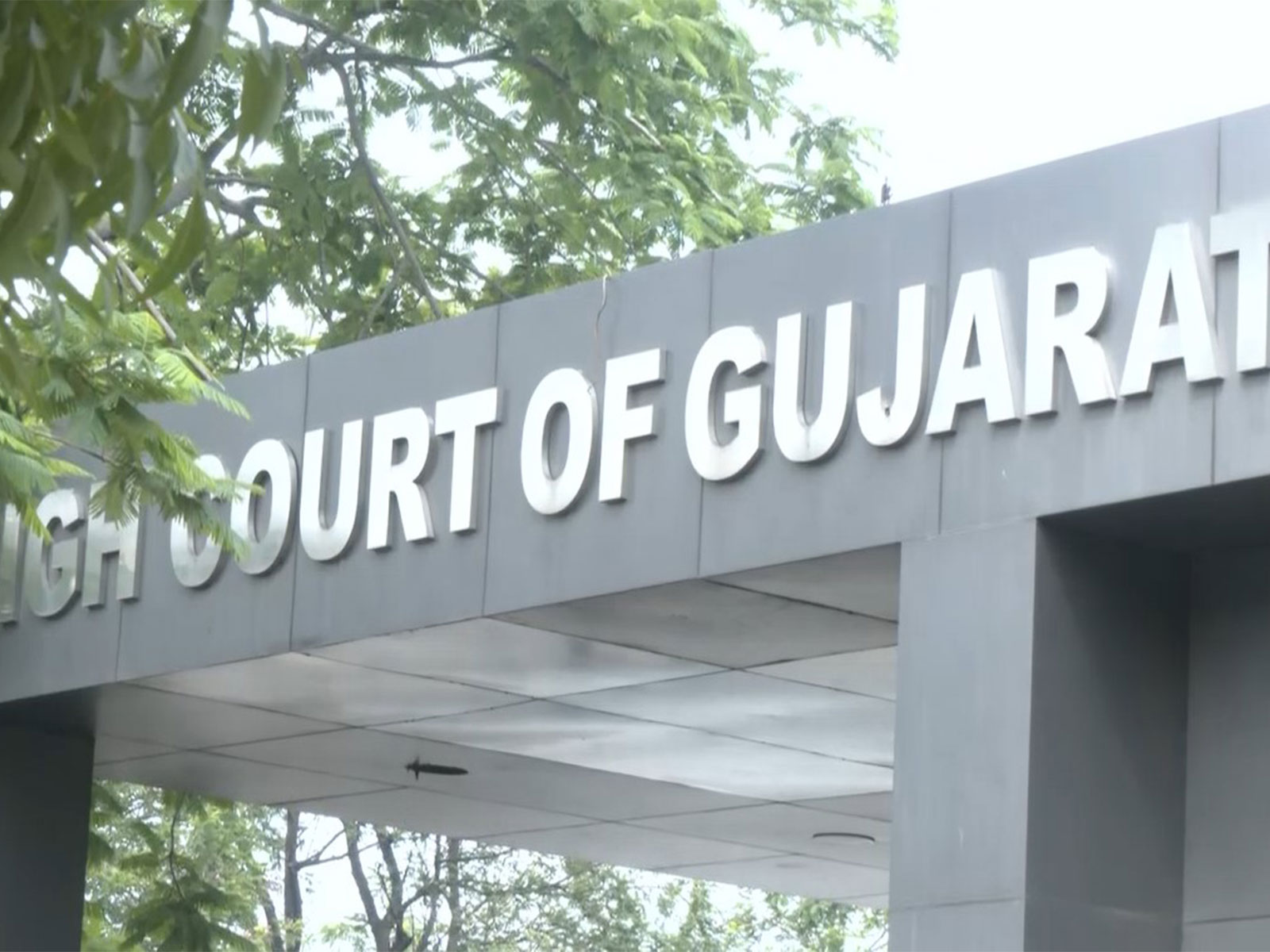 Gujarat High Court (Photo/ANI)