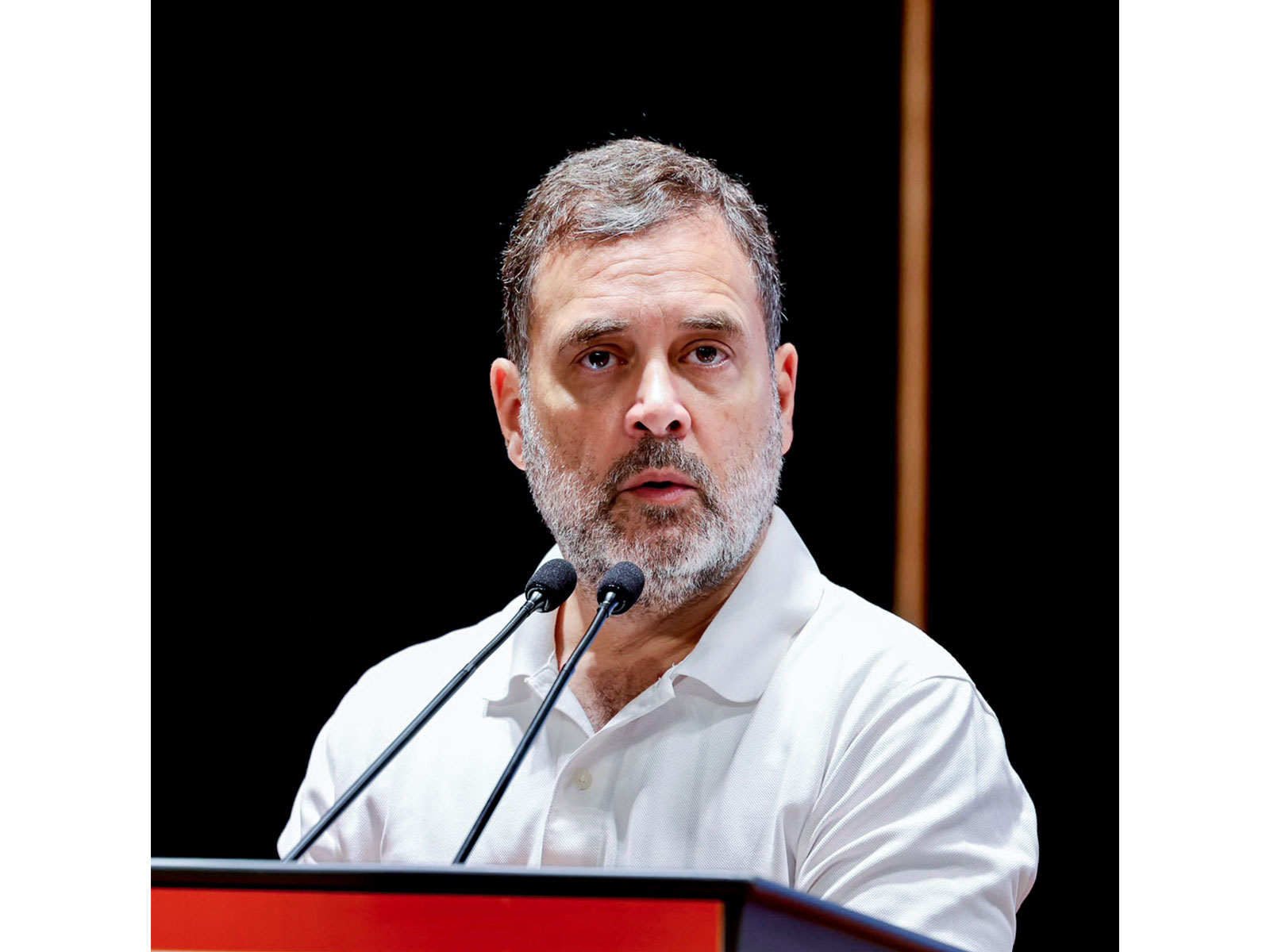 LoP in Lok Sabha Rahul Gandhi (File photo/ANI)