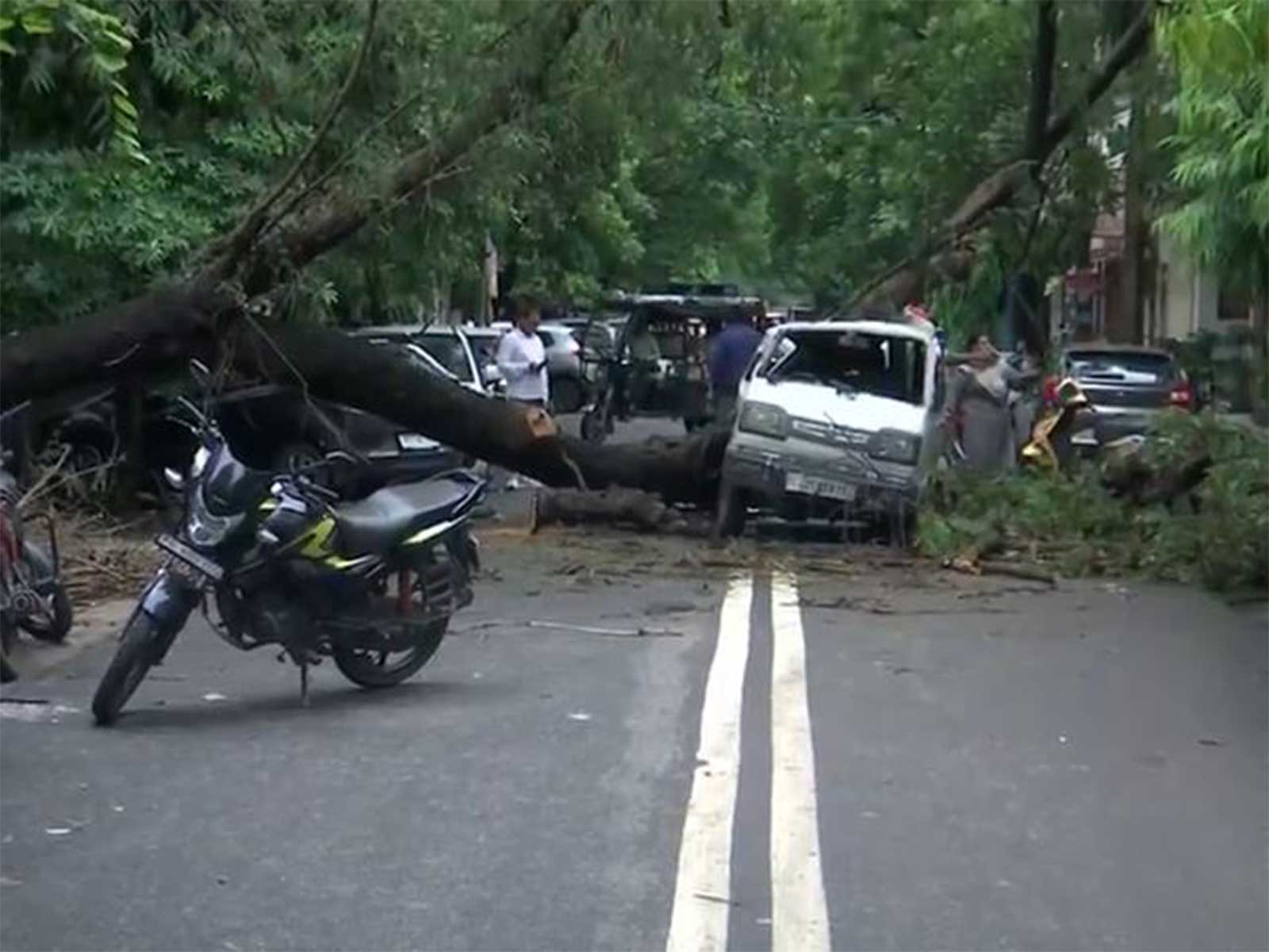 A tree fell on a van in Rohini Sector 15 area (Photo/ANI)
