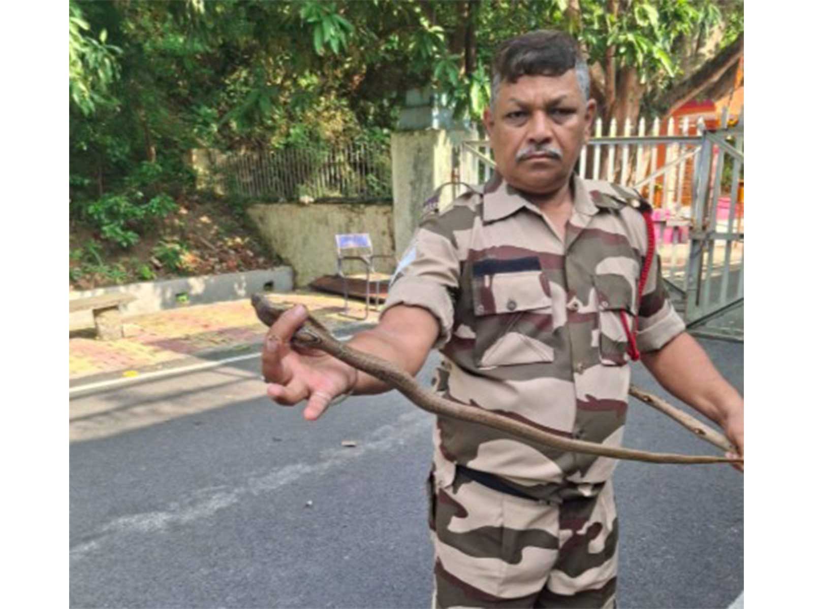 CISF Head Constable (Fire) rescues seven cobras (Photo/@CISFHQrs)