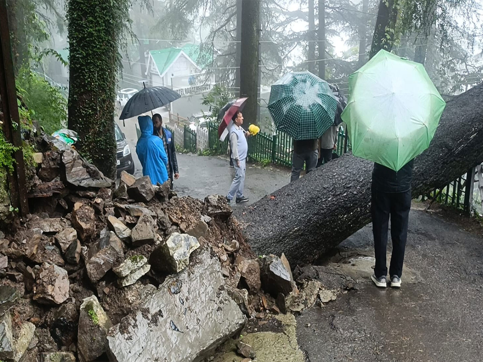 Fallen tree blocked the Banmore road (Photo/ANI)
