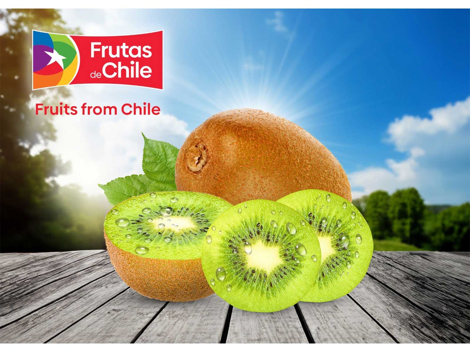 Premium Chilean Kiwifruit Arrives in India, Bringing Great Taste and Powerful Nutrition