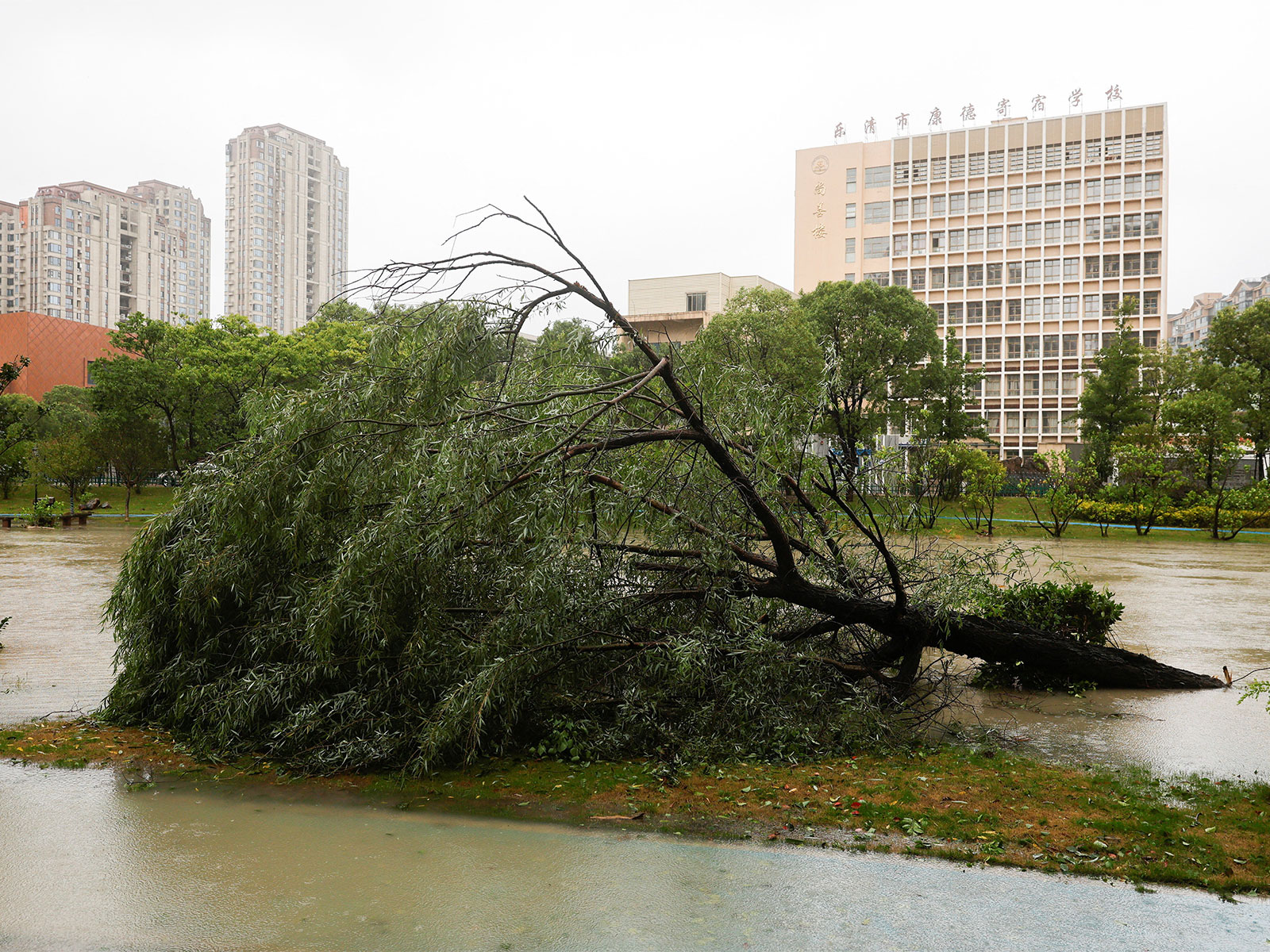 Typhoon Bavi hits China (Photo/Reuters)