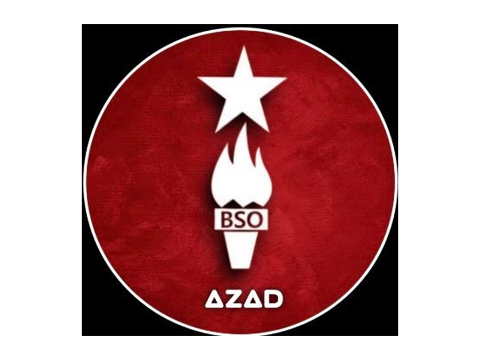 Representative Image (Photo: X/@BSO__AZAD)