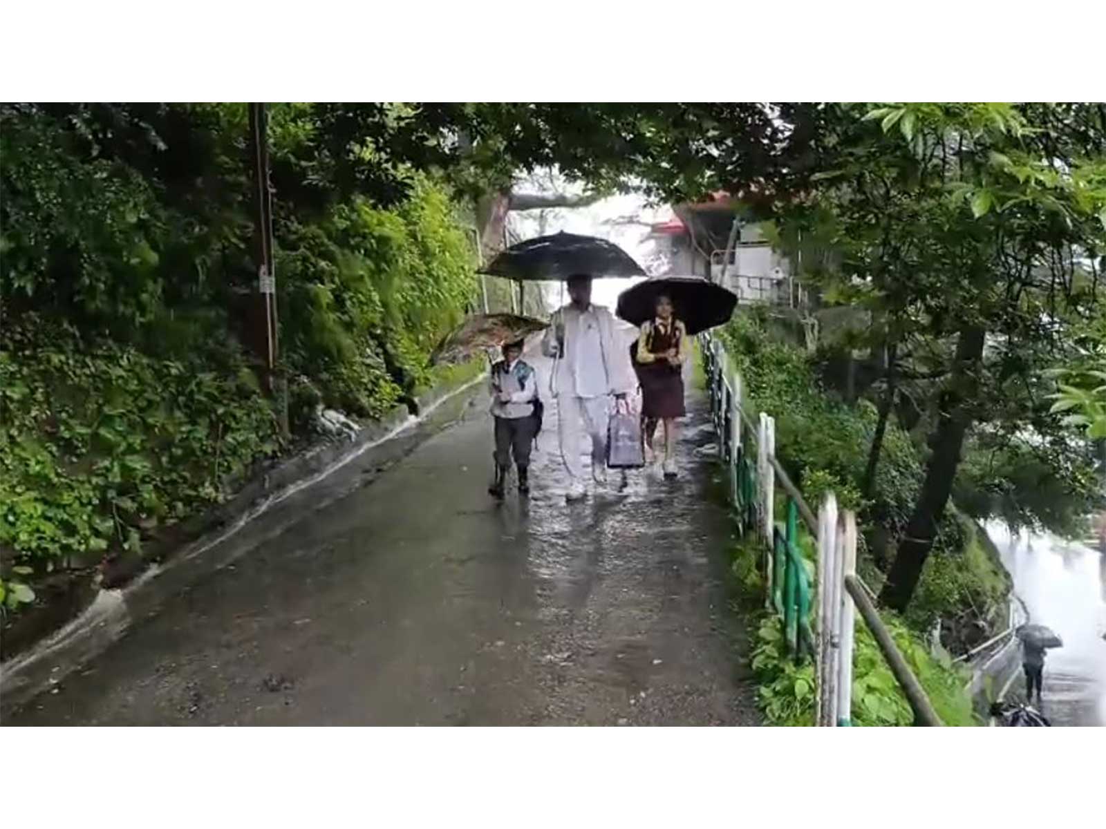 Heavy rainfall in Himachal Pradesh (File photo/ANI)