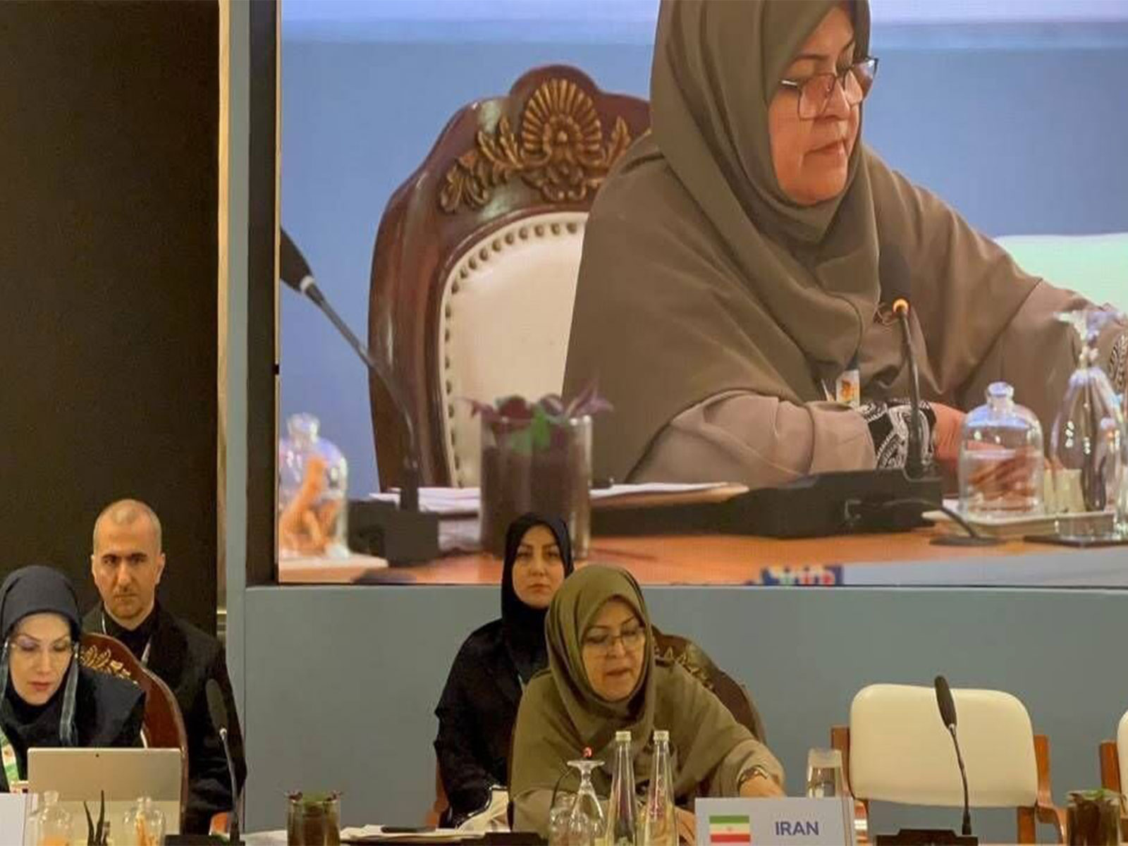 Dr Farzaneh Ansari, Vice President of Iran and Head of National Standards Organization of Iran (INSO) (Photo/X/@Iran_in_India)