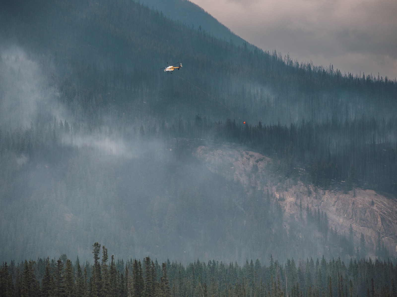 Representative Image of wildfire in Canada (File Photo/Reuters)