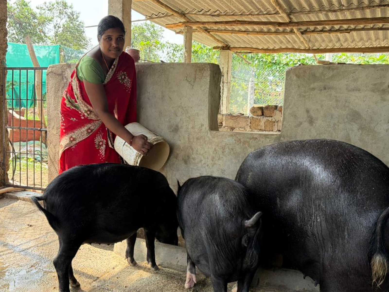 Dilmati, a member of the Maa Durga Women Self-Help Group, who has achieved financial independence through pig farming (Photo/ANI)