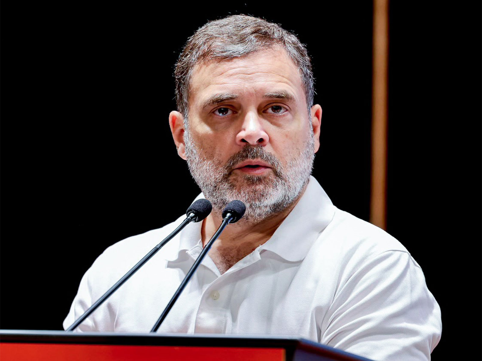 LoP in Lok Sabha Rahul Gandhi (File photo/ANI)