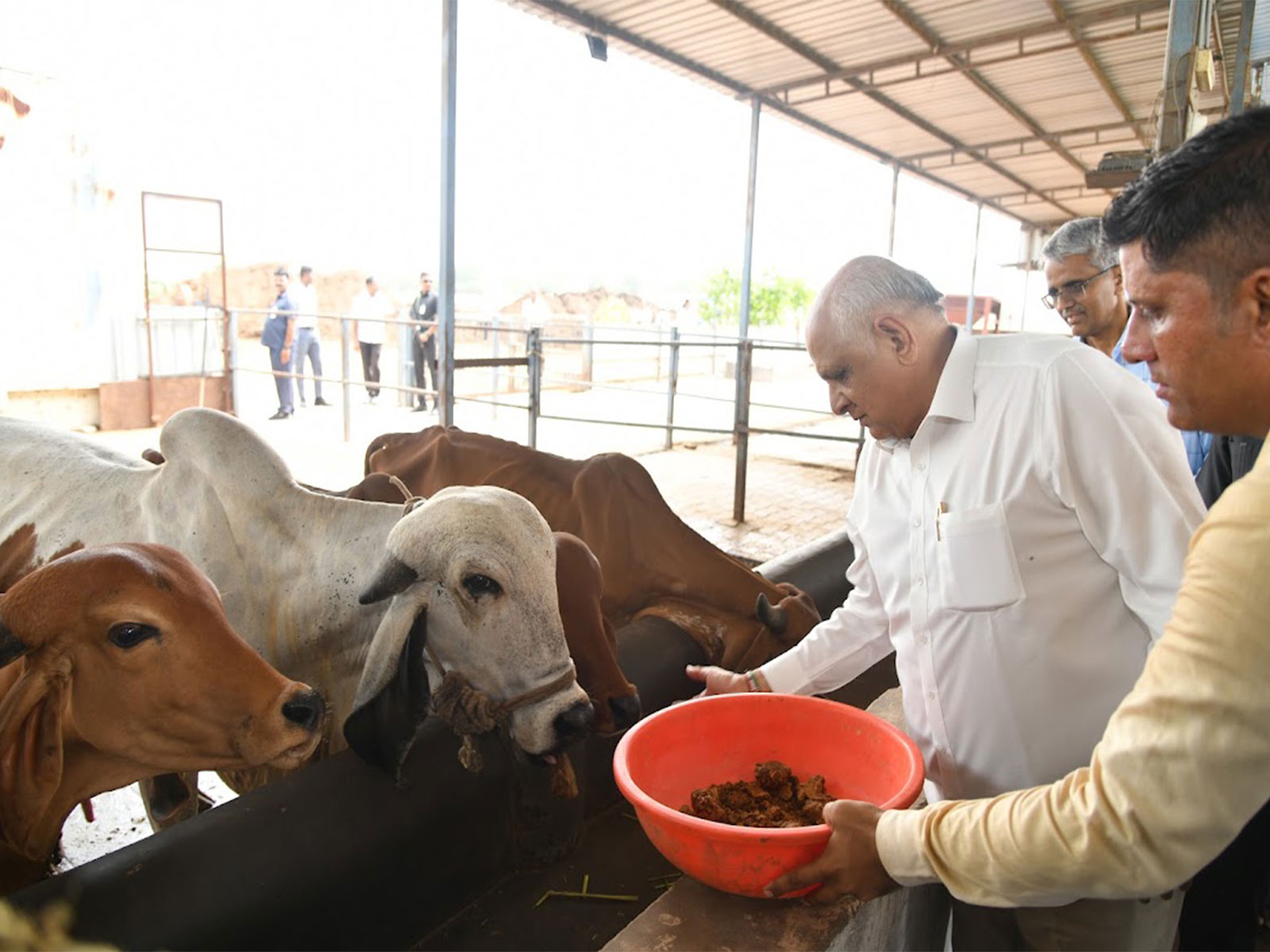  Gujarat Chief Minister Bhupendra Patel (Photo/CMO)