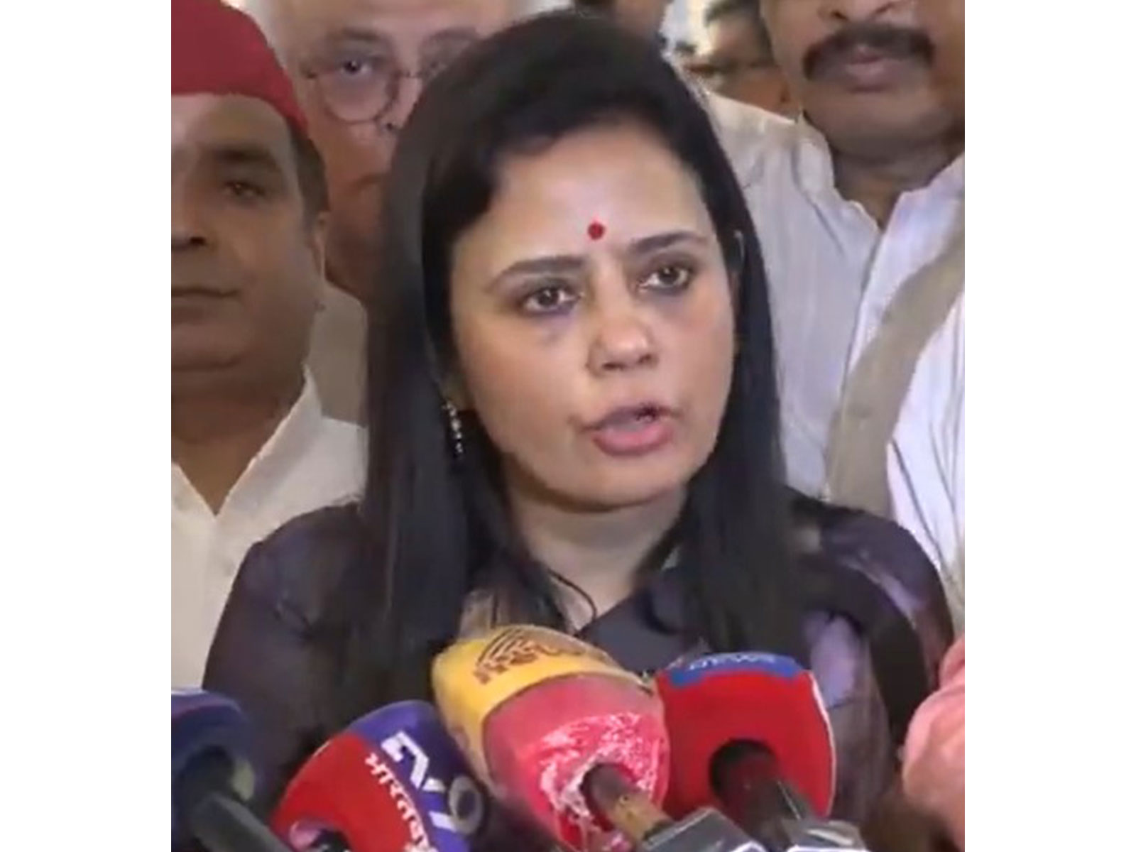 TMC MP Mahua Moitra (Photo/ANI)  